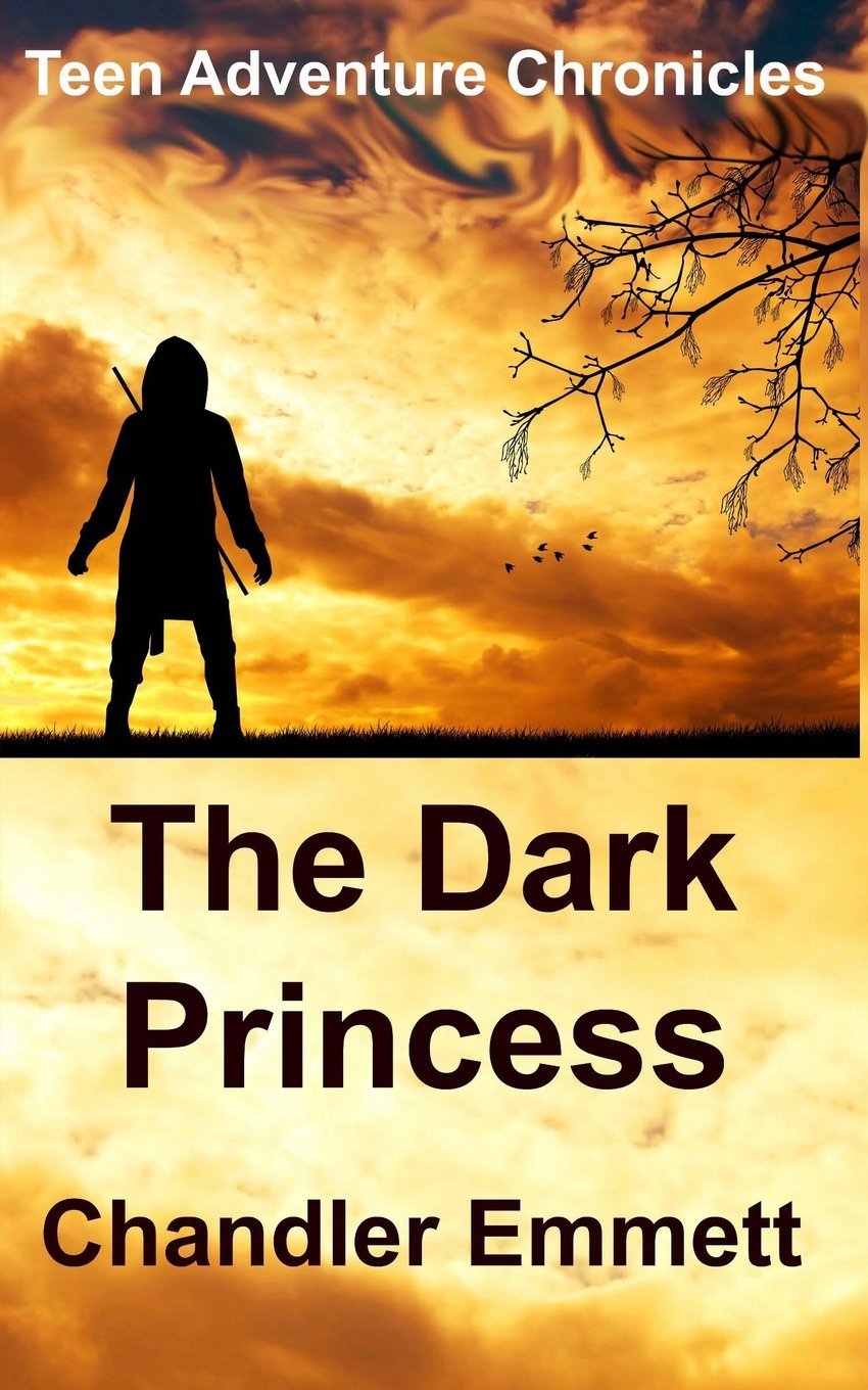 The Dark Princess (Teen Adventure Chronicles, Band 1) Novels & Short Stories
