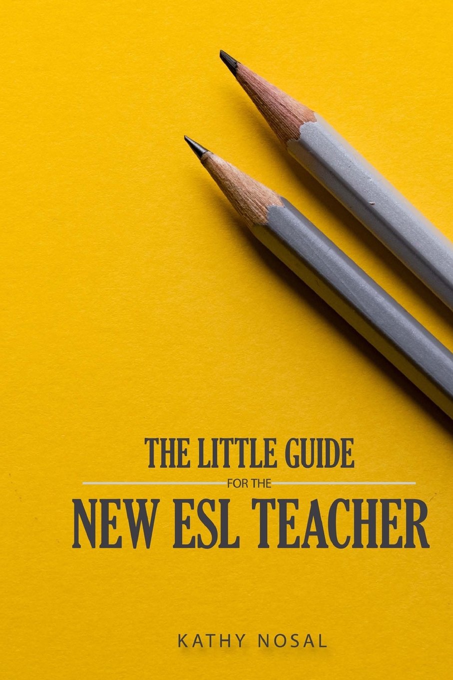 The Little Guide for the New ESL Teacher Books