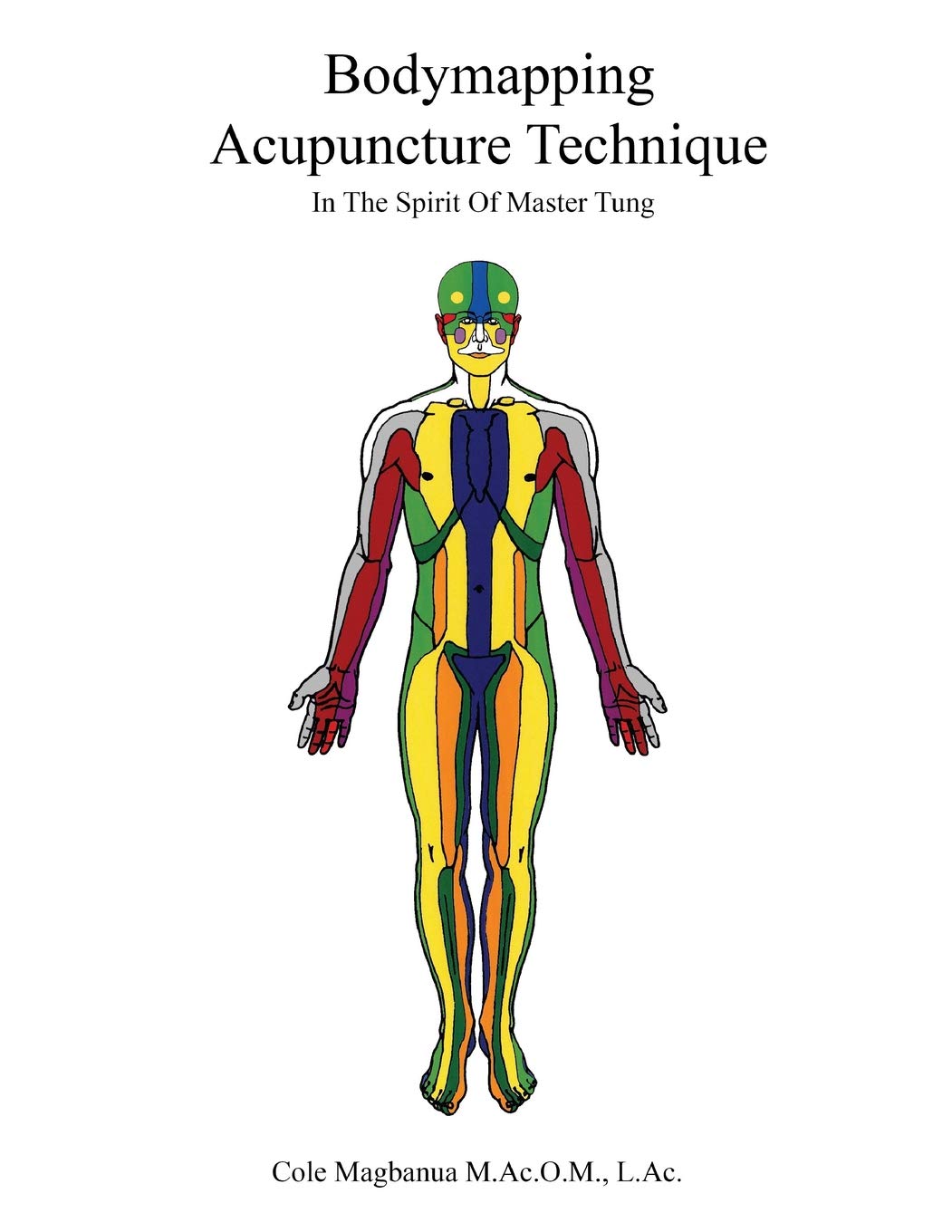 Bodymapping acupuncture technique: In the spirit of Master Tung Medicine