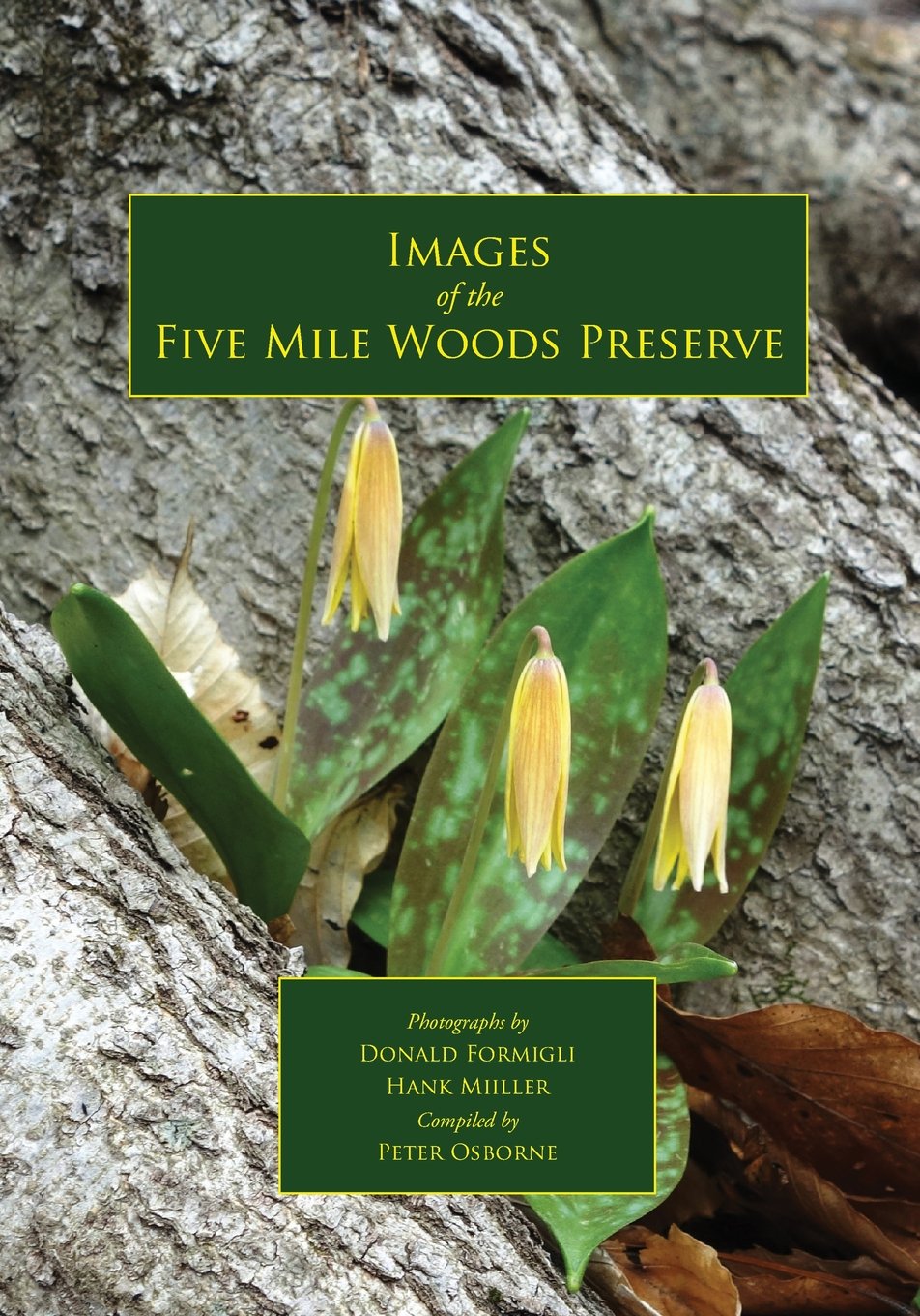 Images of the Five Mile Woods Preserve Geology & Geography