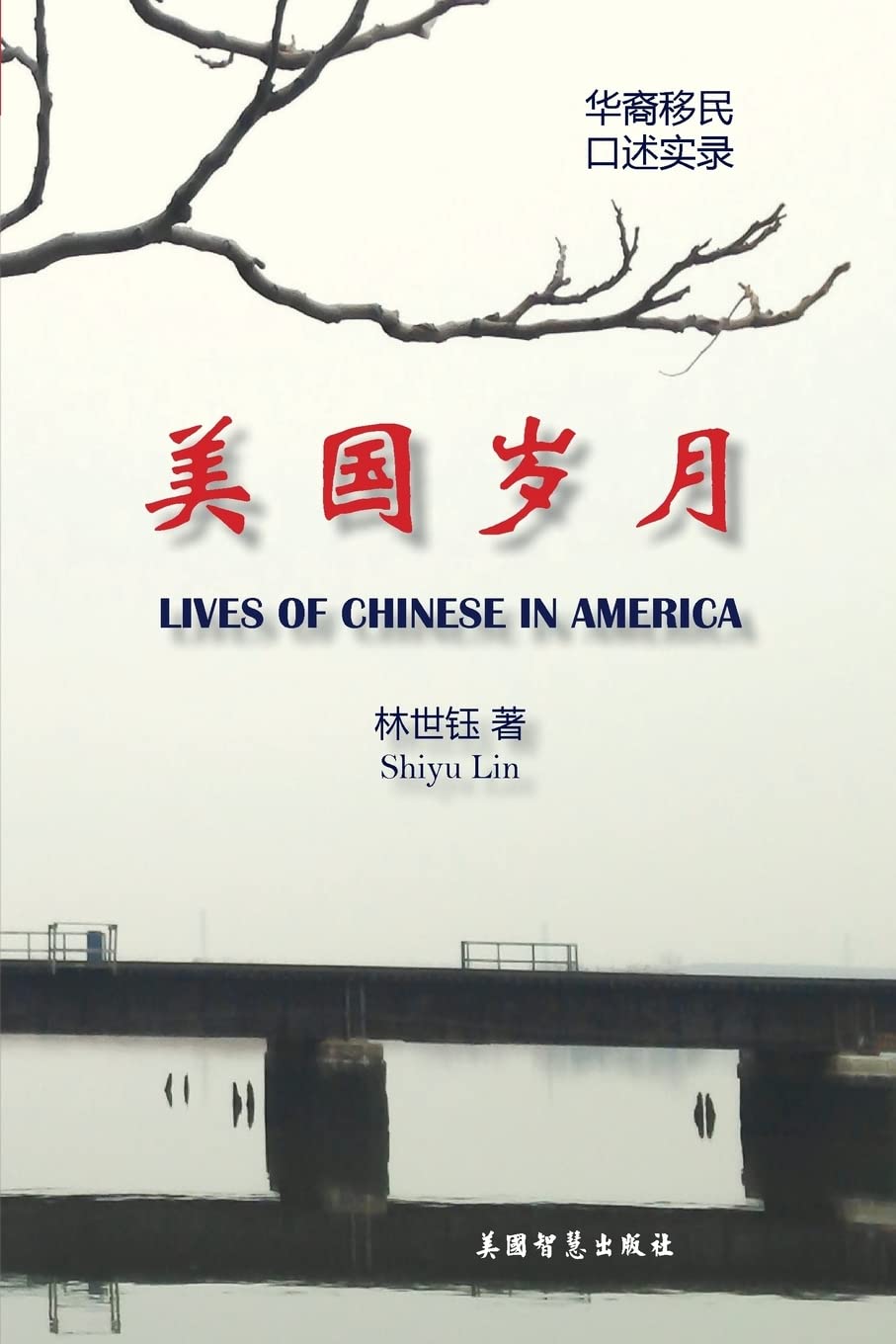 Lives of Chinese in America Politics & History