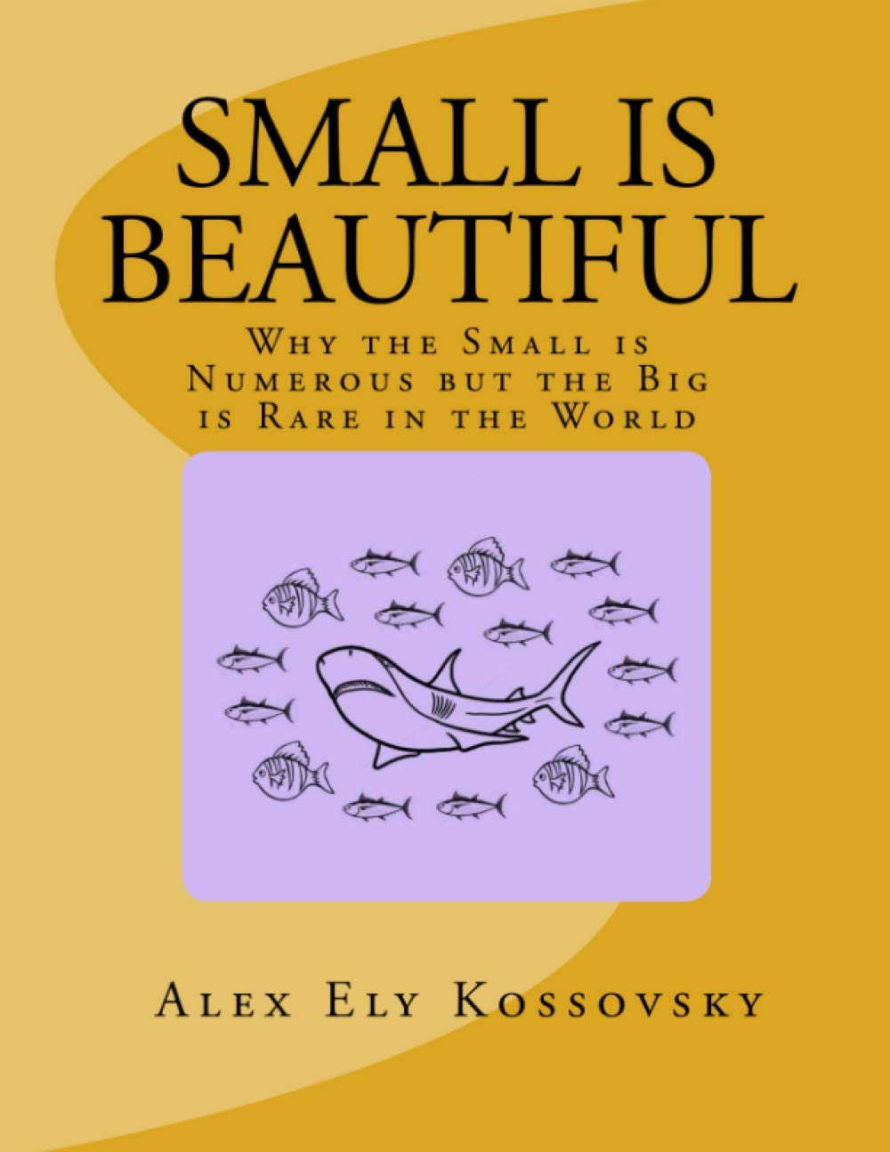 Small is Beautiful: Why the Small is Numerous but the Big is Rare in the World Mathematics