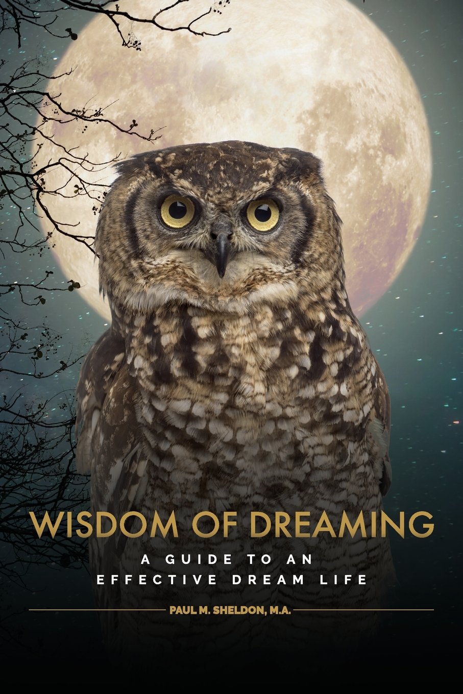 WISDOM OF DREAMING Books