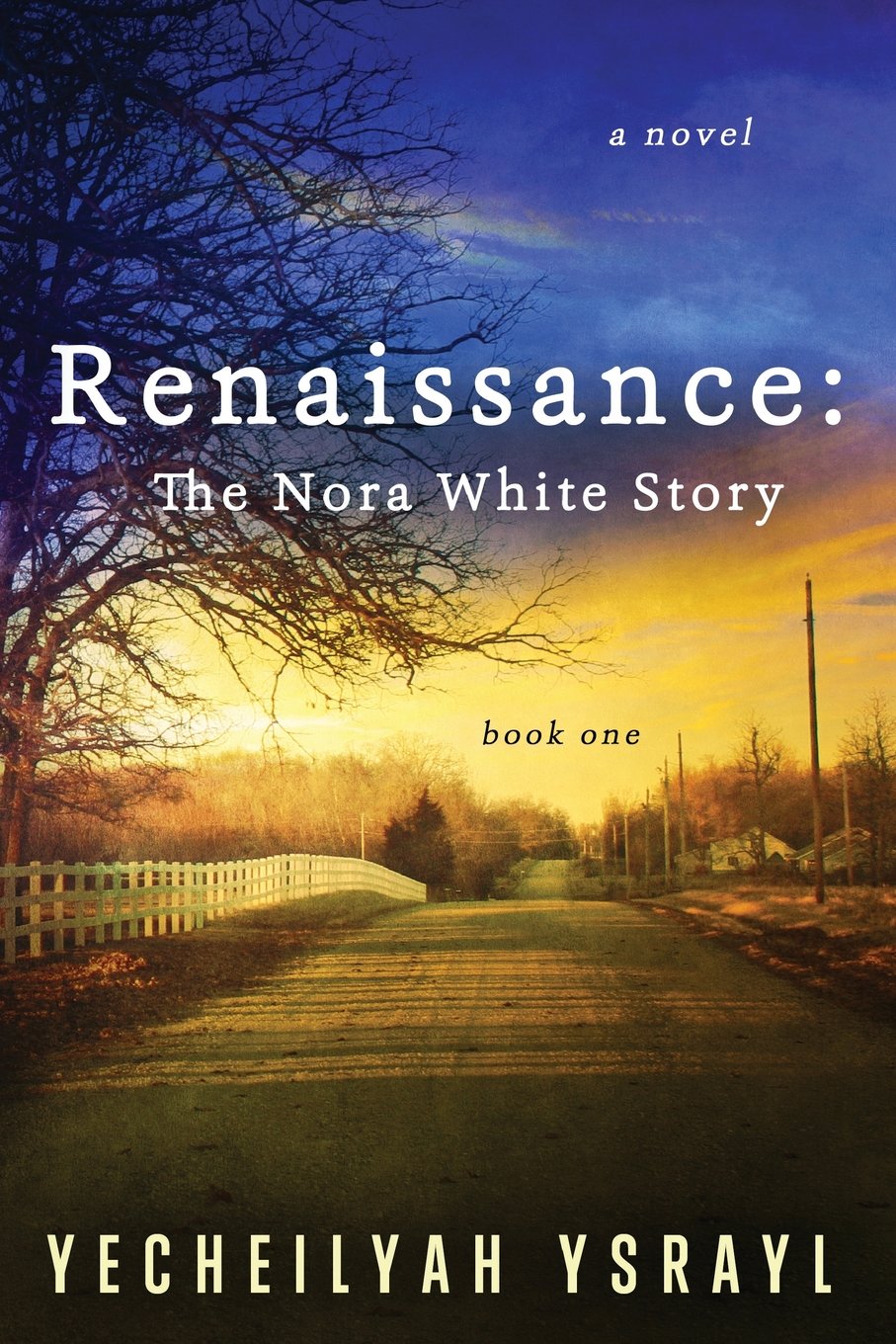Renaissance: The Nora White Story (Book One) Historical Fiction