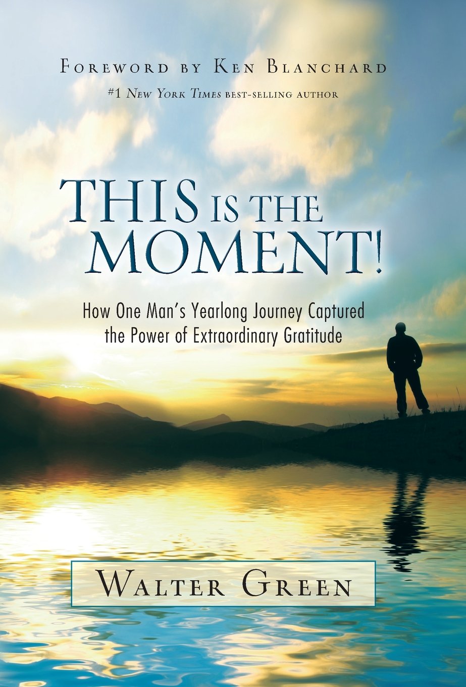 This Is the Moment!: How One Man's Yearlong Journey Captured the Power of Extraordinary Gratitude Business, Finance & Career