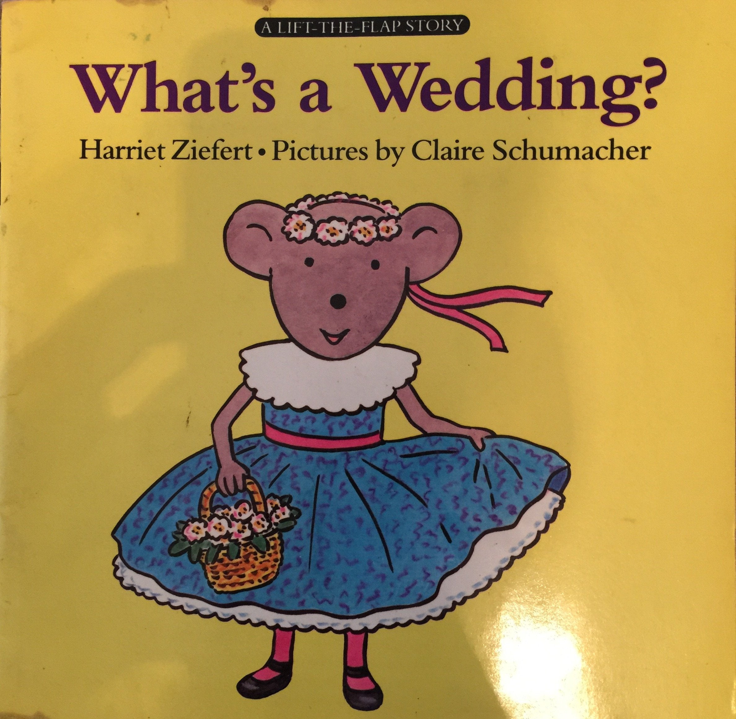 What's a Wedding?: A Lift-the-flap Story Books