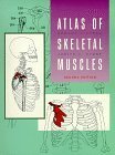 Atlas of the Skeletal Muscles Medicine