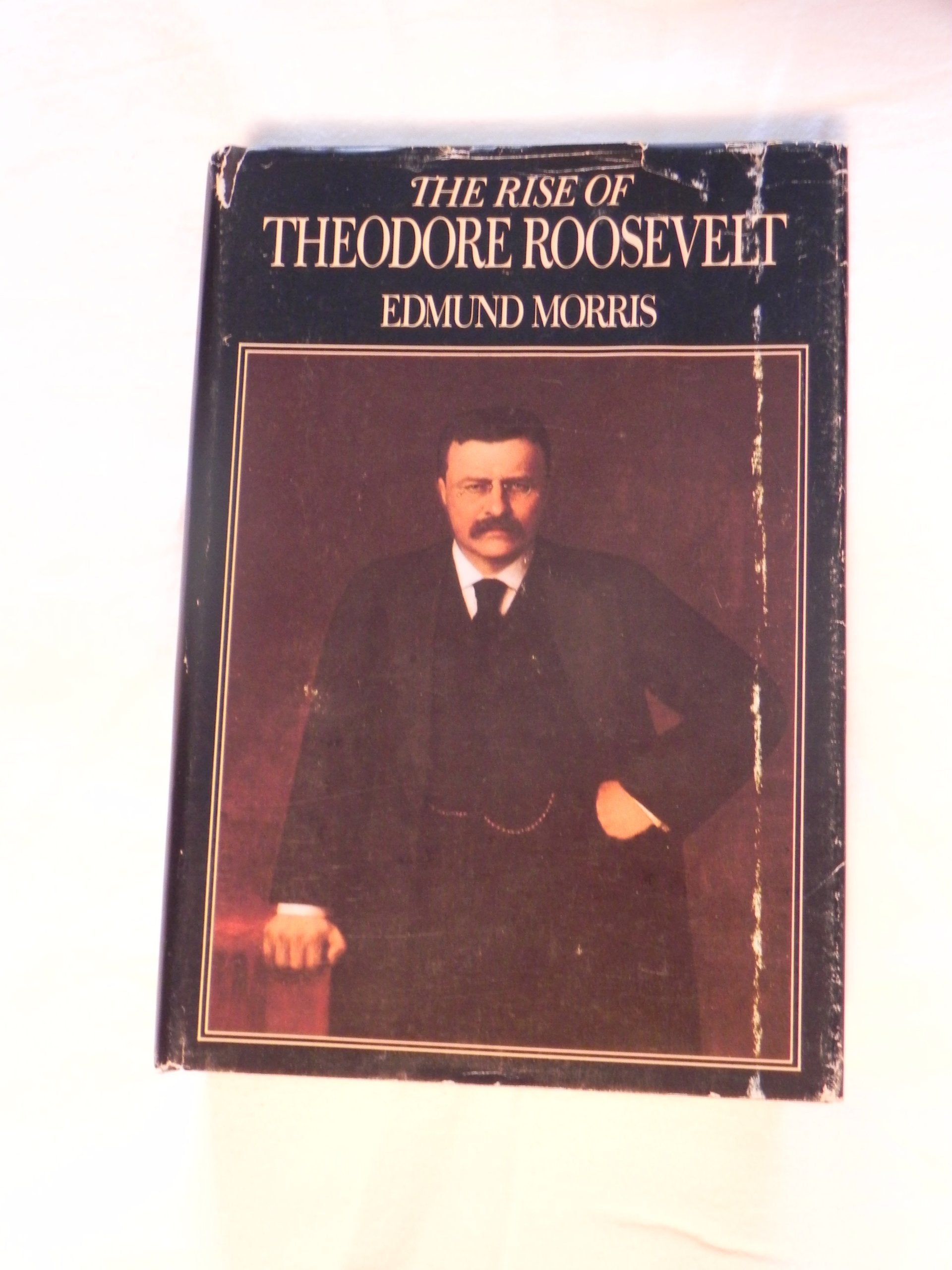 The Rise of Theodore Roosevelt book