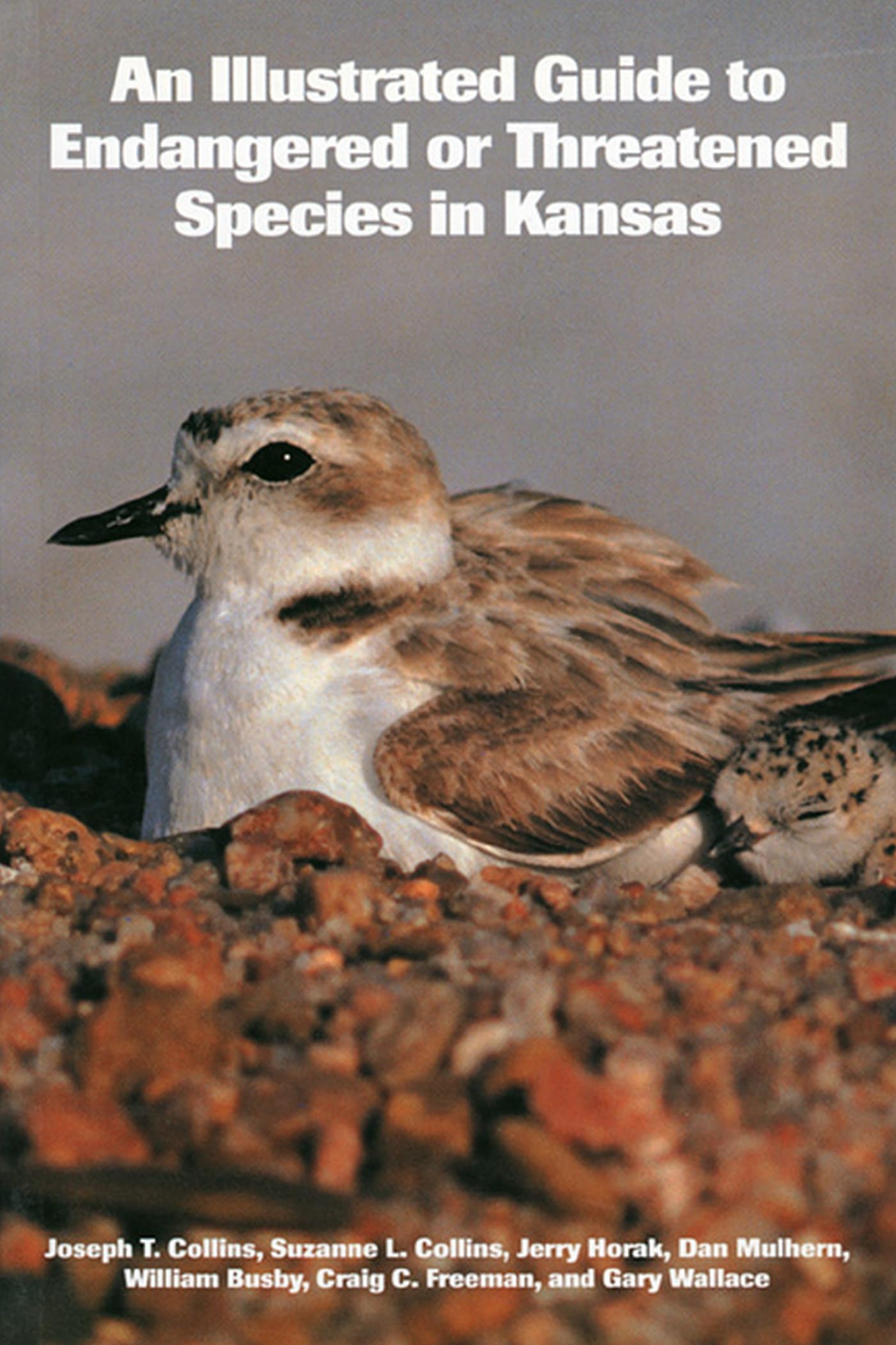 An Illustrated Guide to Endangered or Threatened Species in Kansas Mathematics
