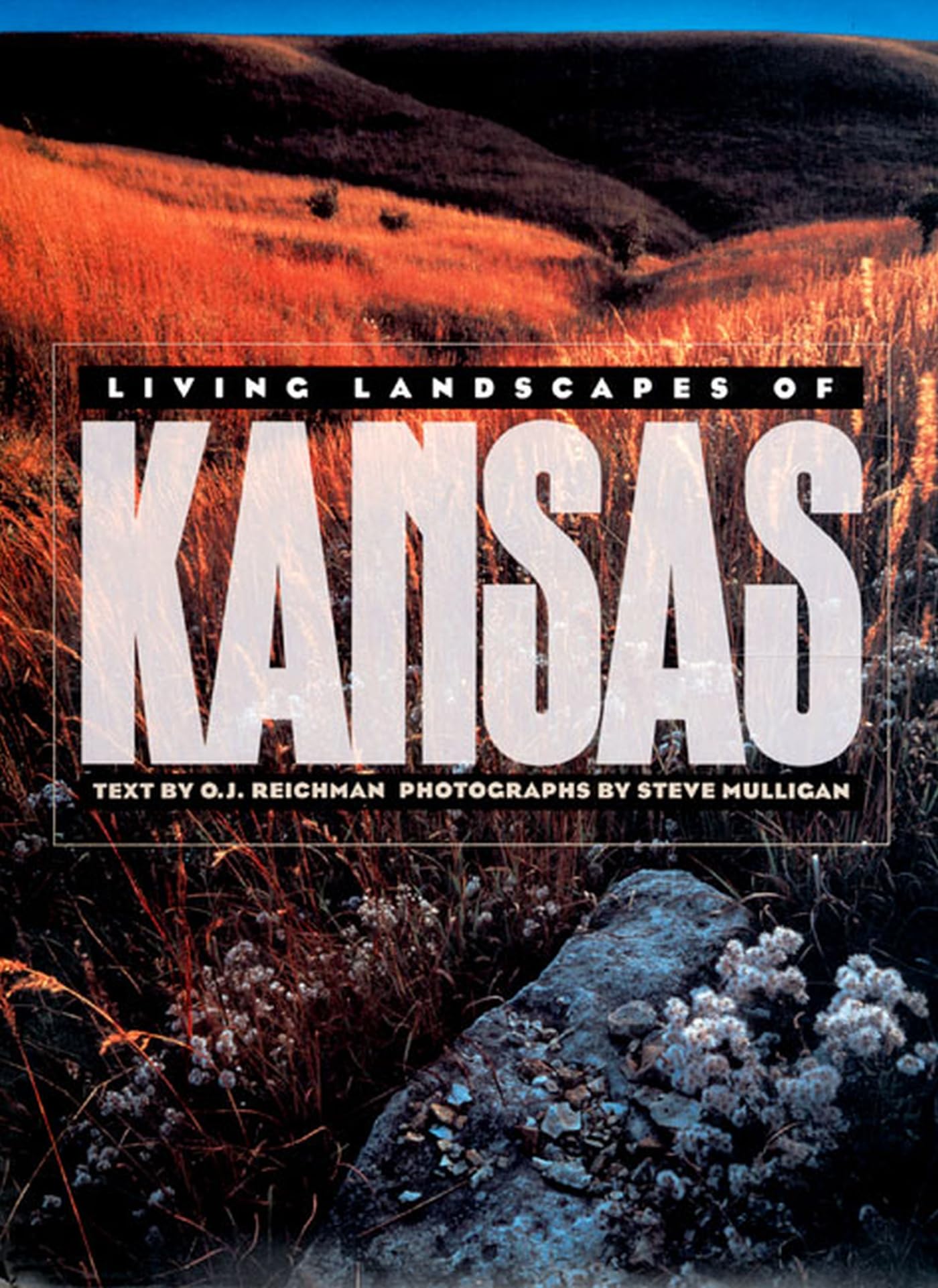 Living Landscapes of Kansas Mathematics