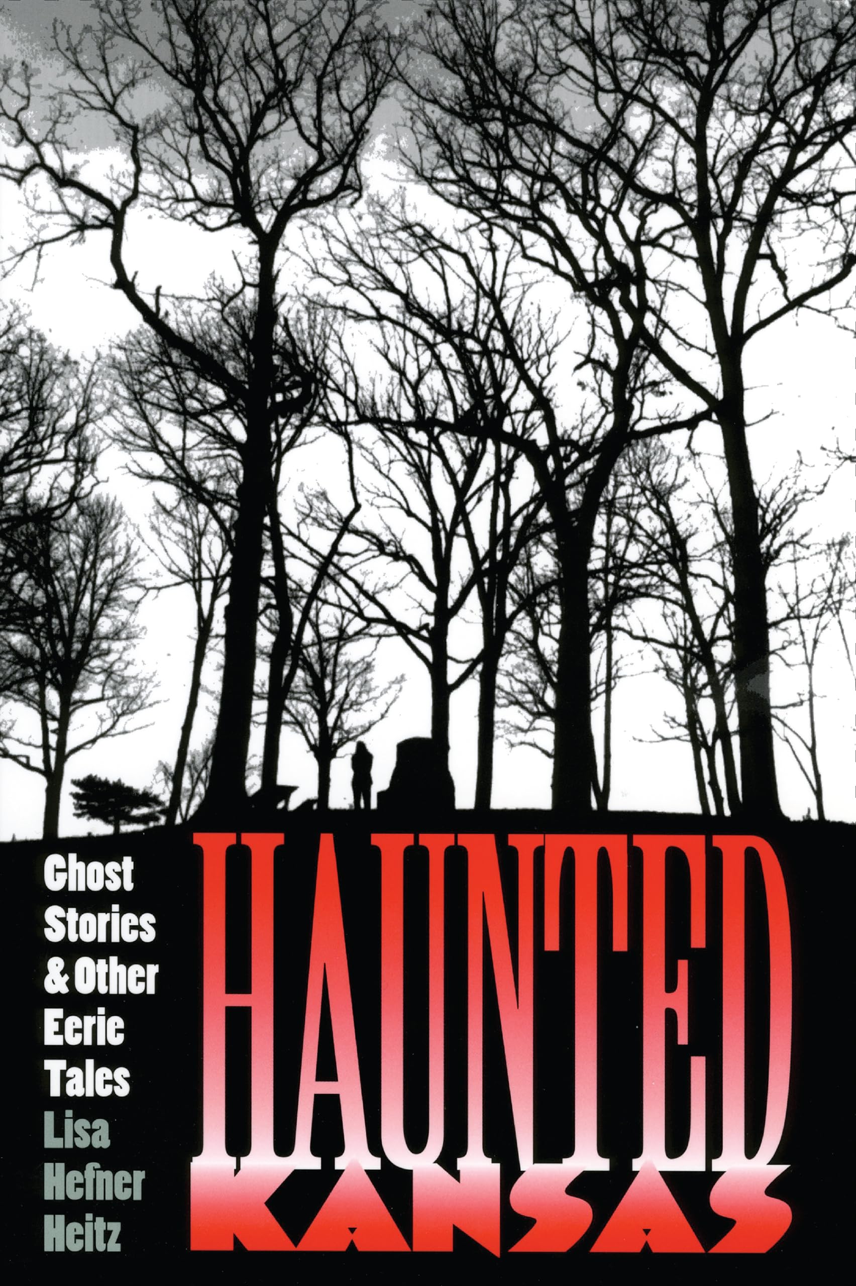 Haunted Kansas: Ghost Stories and Other Eerie Tales book