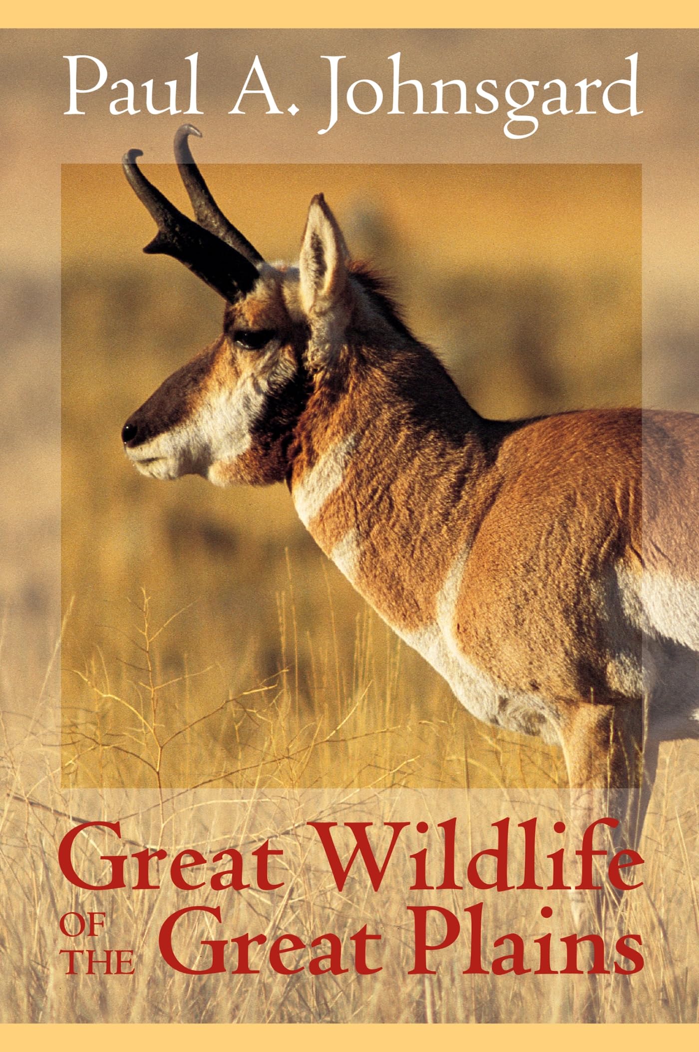 Great Wildlife of the Great Plains Mathematics