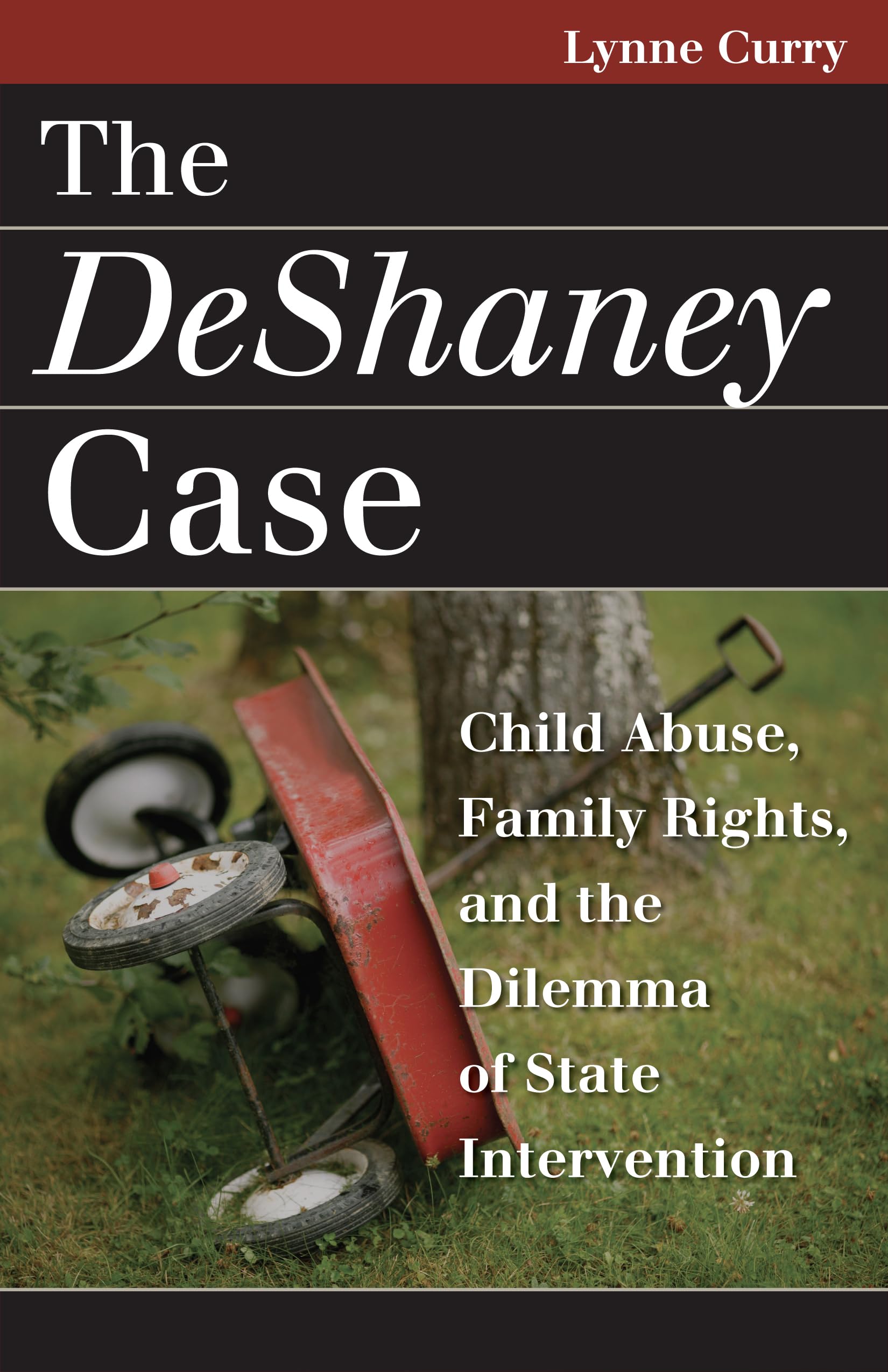 The DeShaney Case: Child Abuse, Family Rights, and the Dilemma of State Intervention (Landmark Law Cases and American Society) Law
