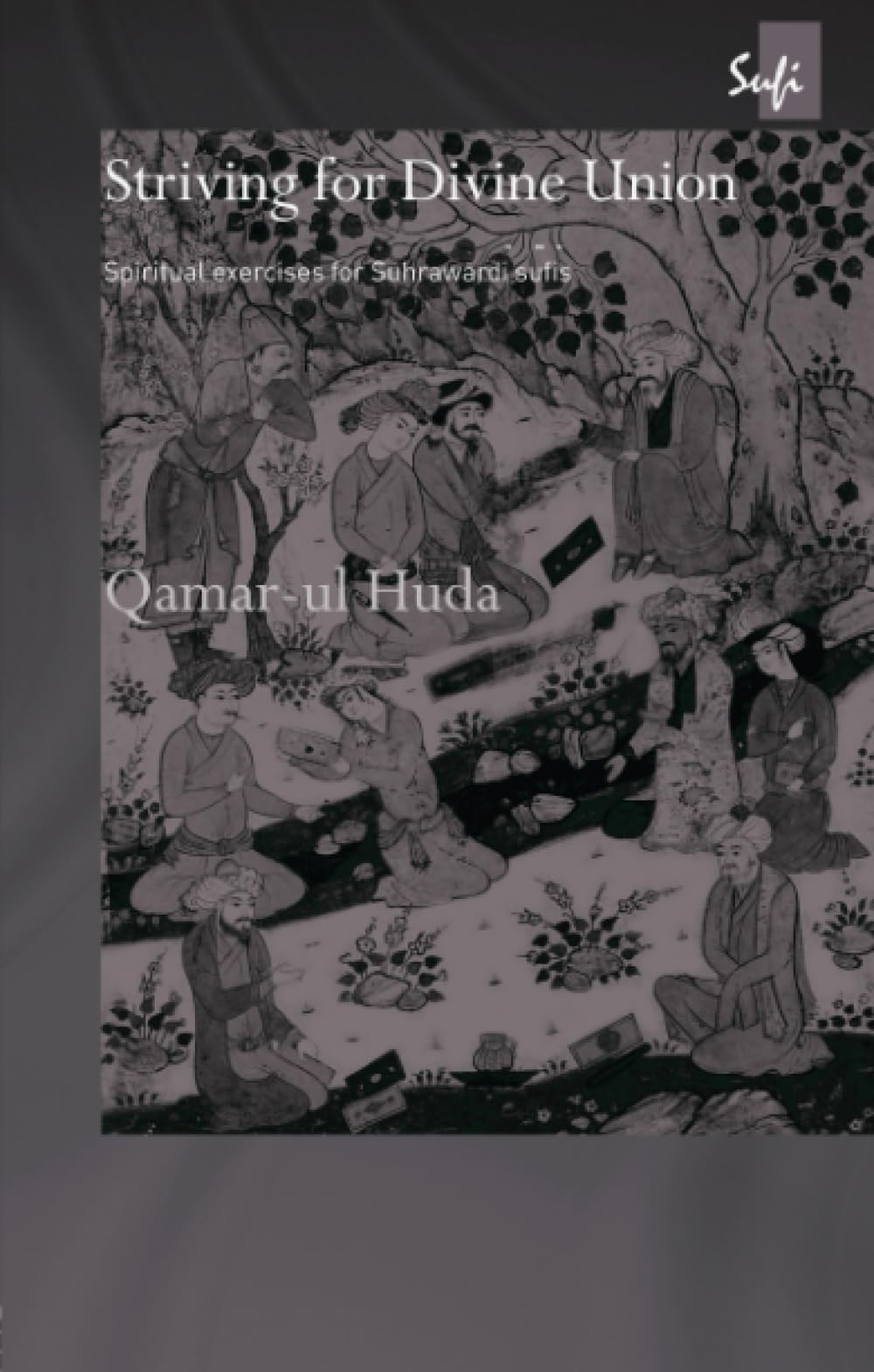 Striving for Divine Union: Spiritual Exercises for Suhraward Sufis (Routledgecurzon Sufi Series) Religion & Esotericism
