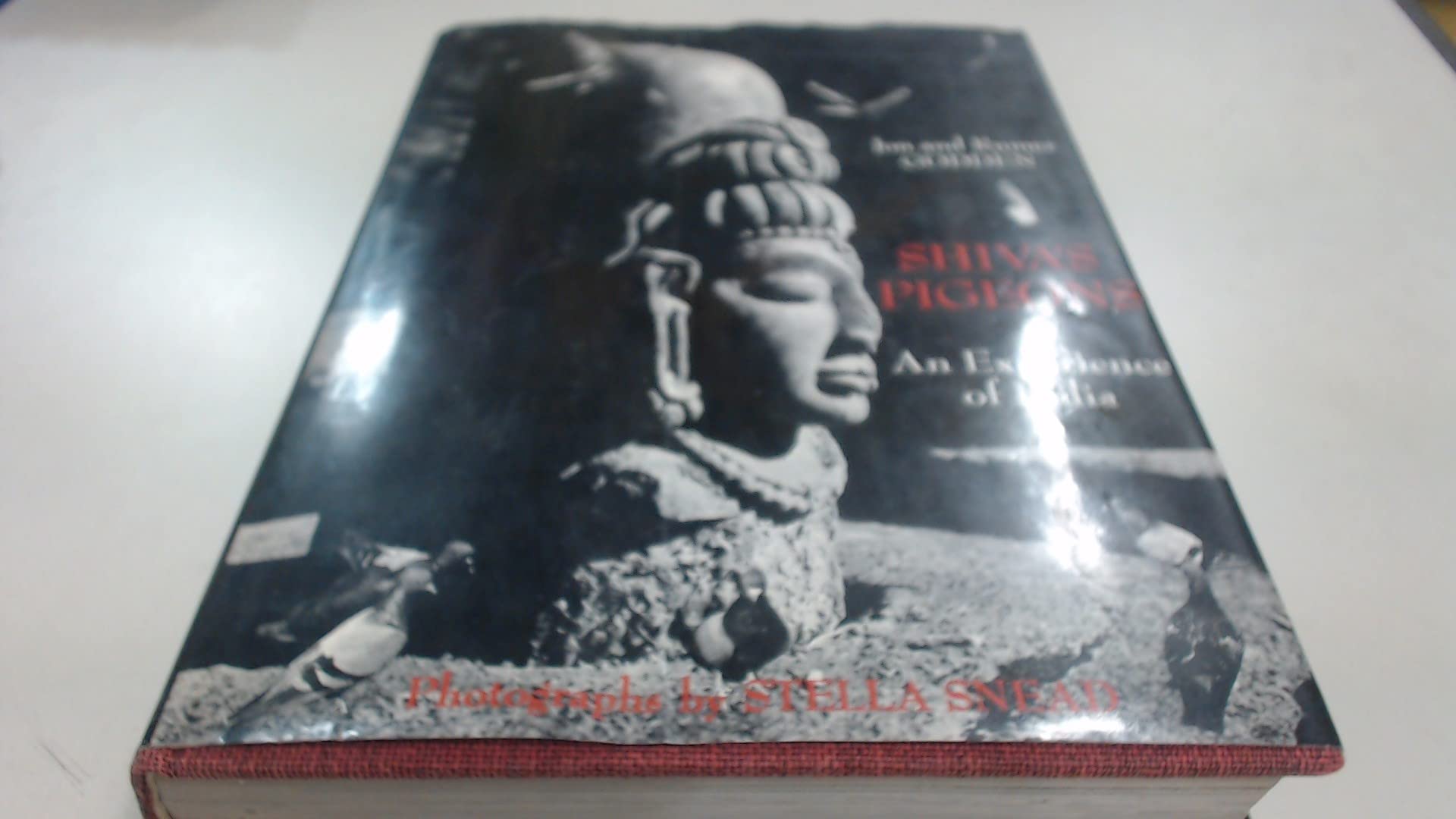 Shiva's Pigeons: Experience of India Leisure, Home & Garden