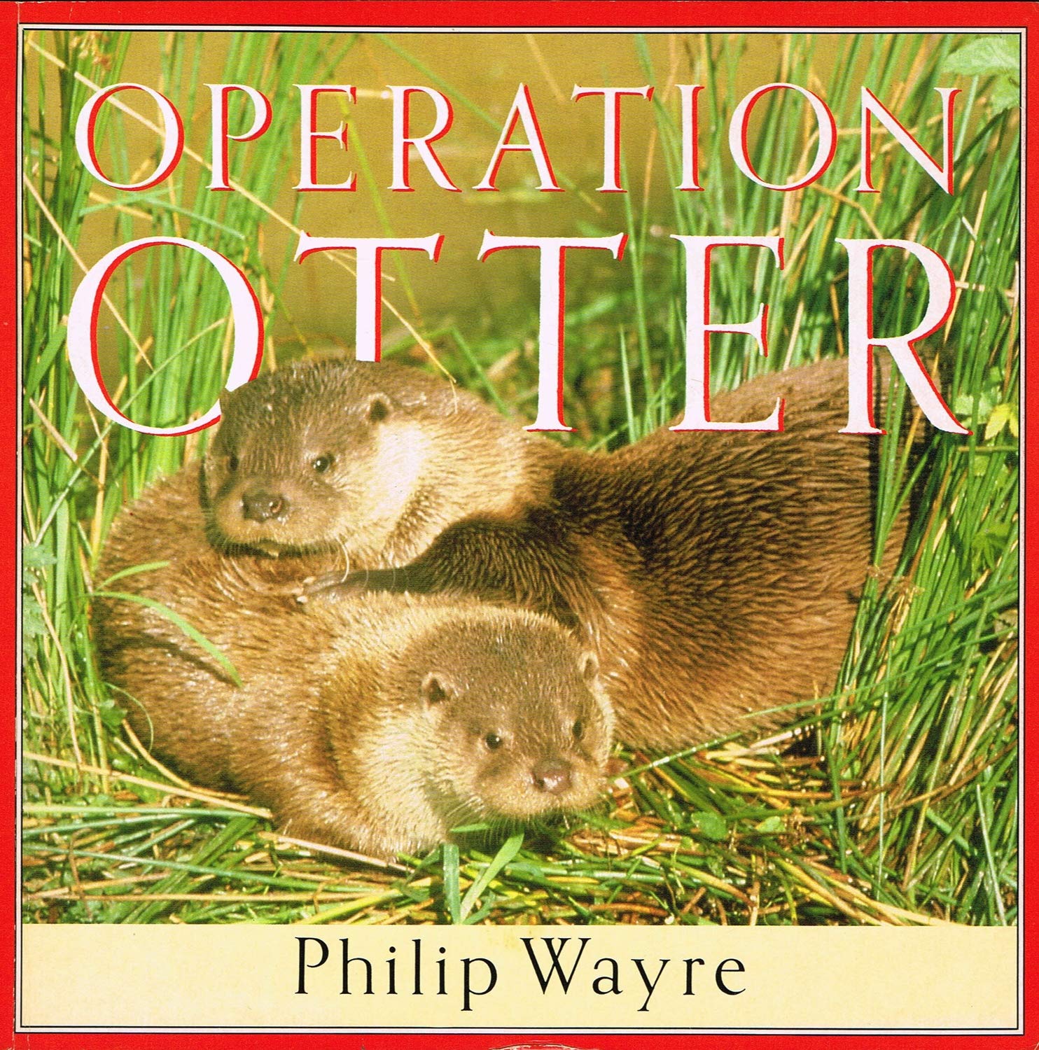 Operation Otter Mathematics