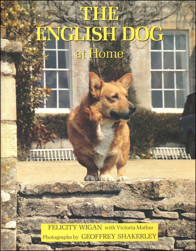 The English Dog at Home Pets