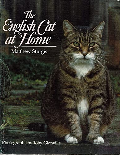 The English Cat at Home Pets