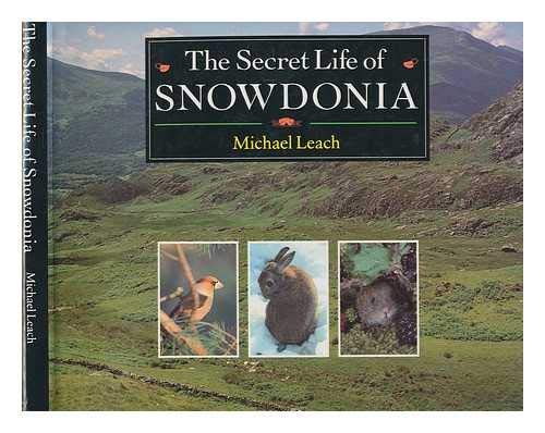 The Secret Life of Snowdonia Mathematics