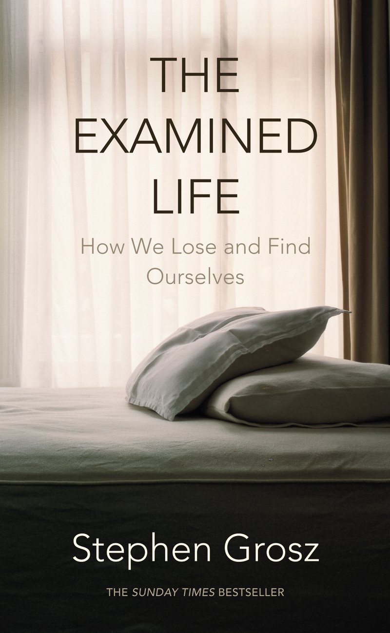 The Examined Life: How We Lose and Find Ourselves Essays & Short Stories