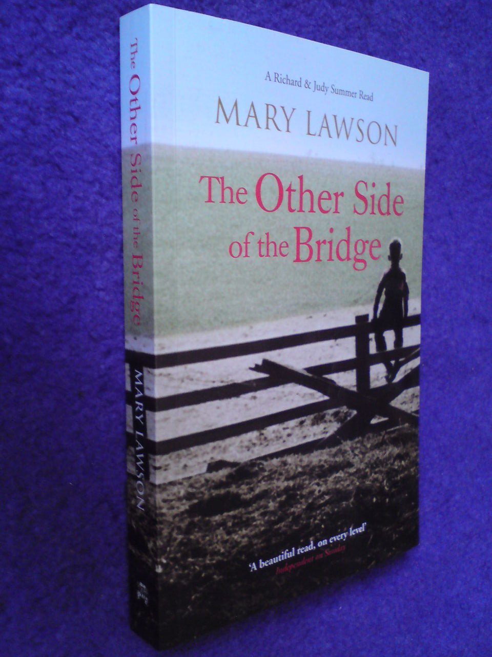 The other side of the bridge Large paperback Books