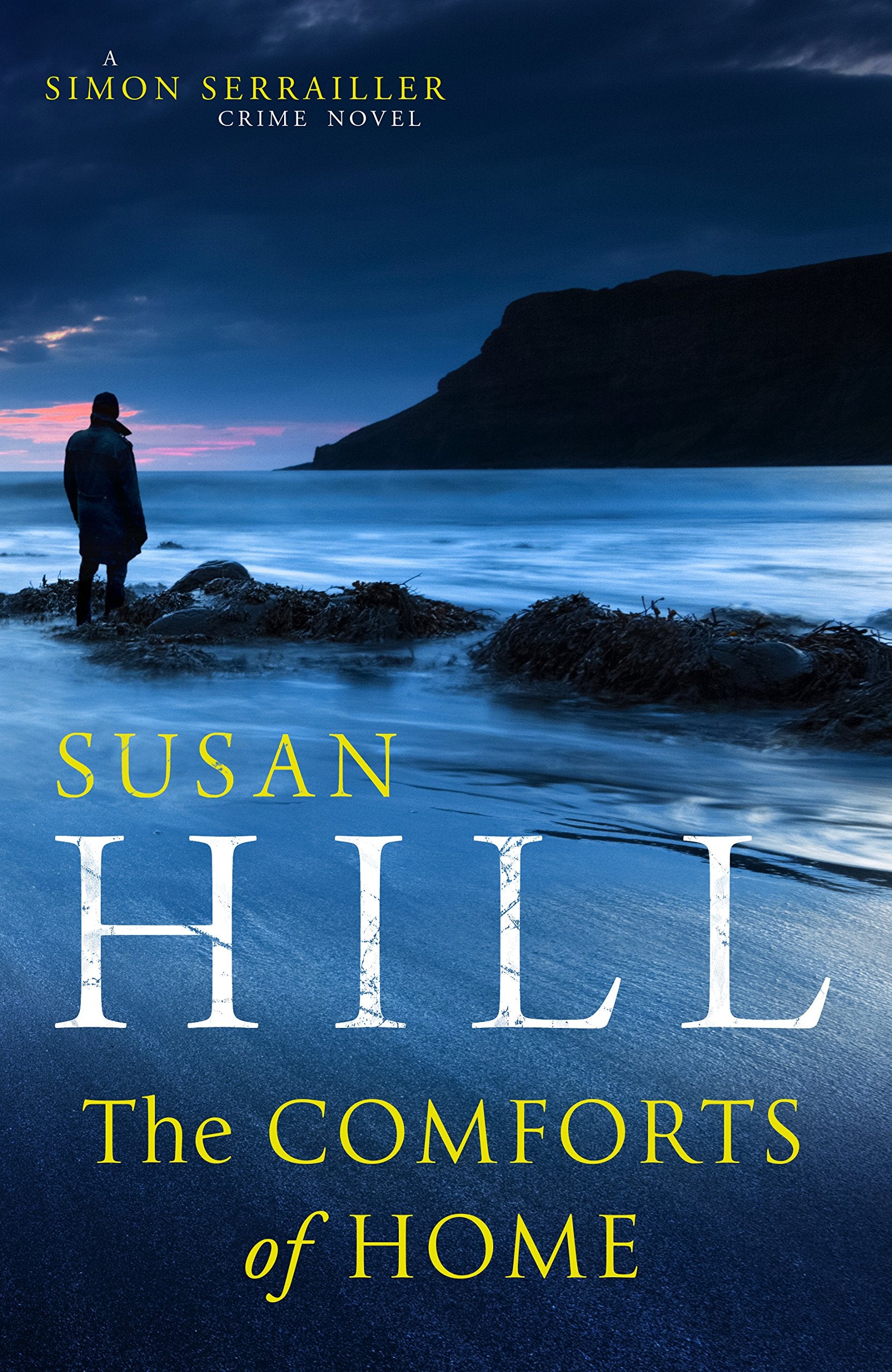 The Comforts of Home: Simon Serrailler Book 9 Contemporary literature