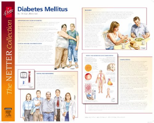 Frank H. Netter Diabetes and Complications Poster: European Netter Poster Series Medicine