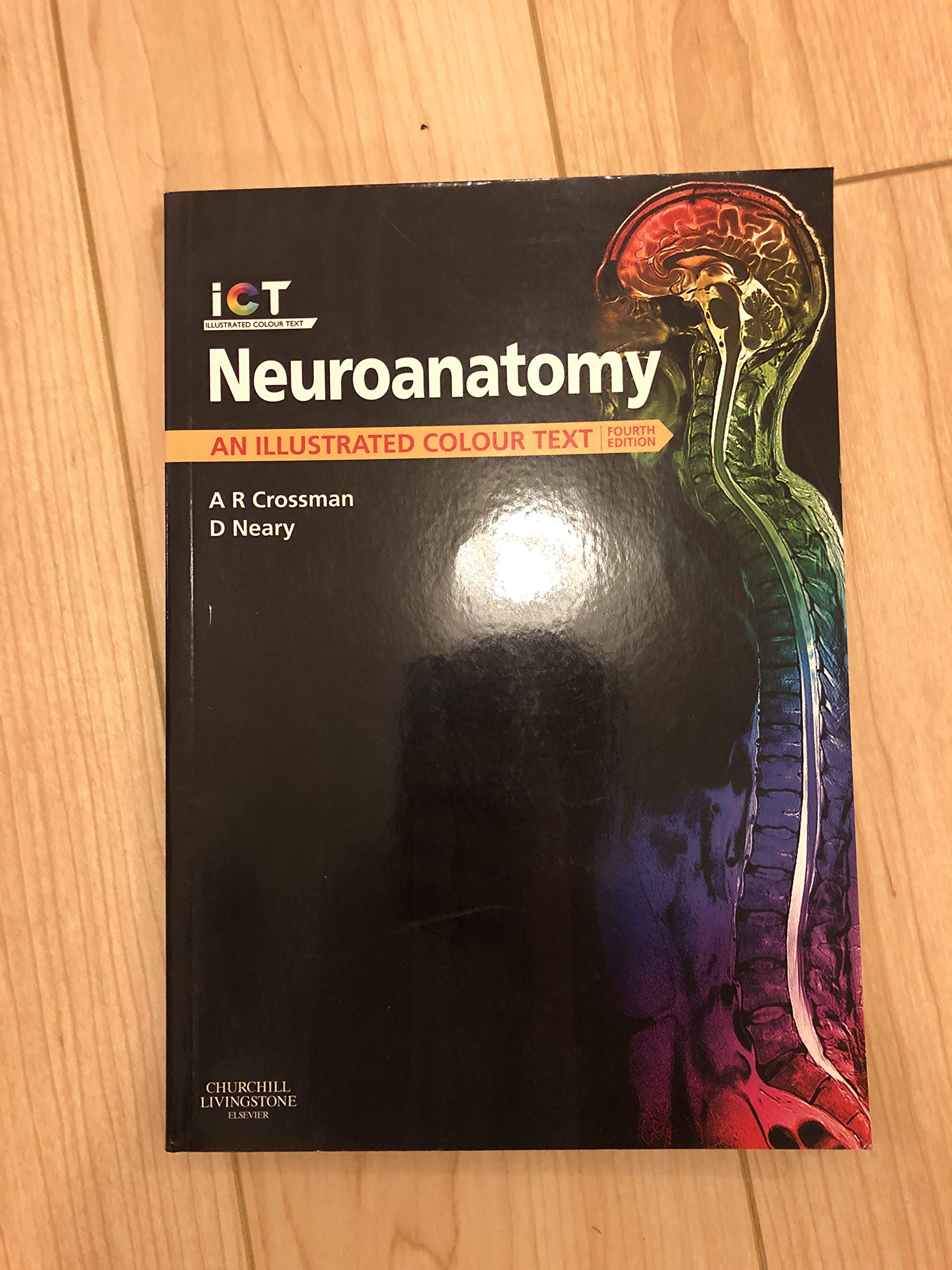 Neuroanatomy: An Illustrated Colour Text Medicine