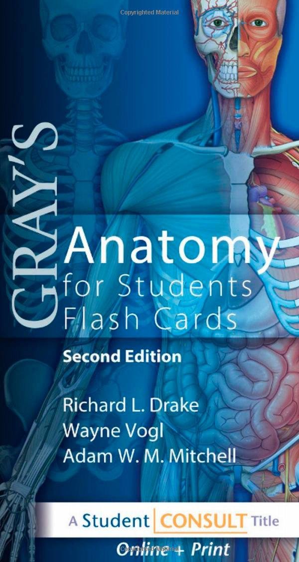 Gray's Anatomy for Students Flash Cards Medicine