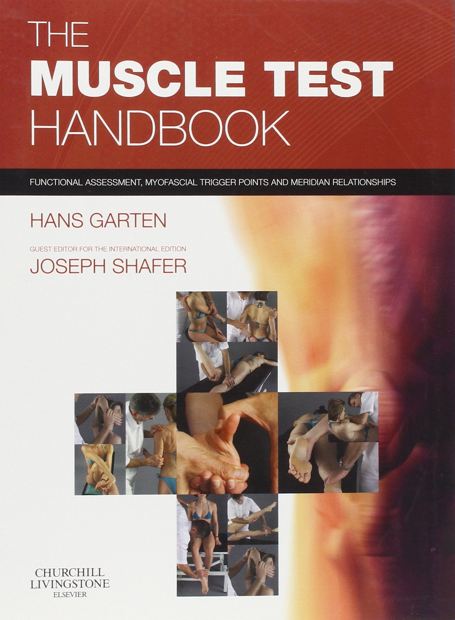 The Muscle Test Handbook: Functional Assessment, Myofascial Trigger Points and Meridian Relationships Medicine