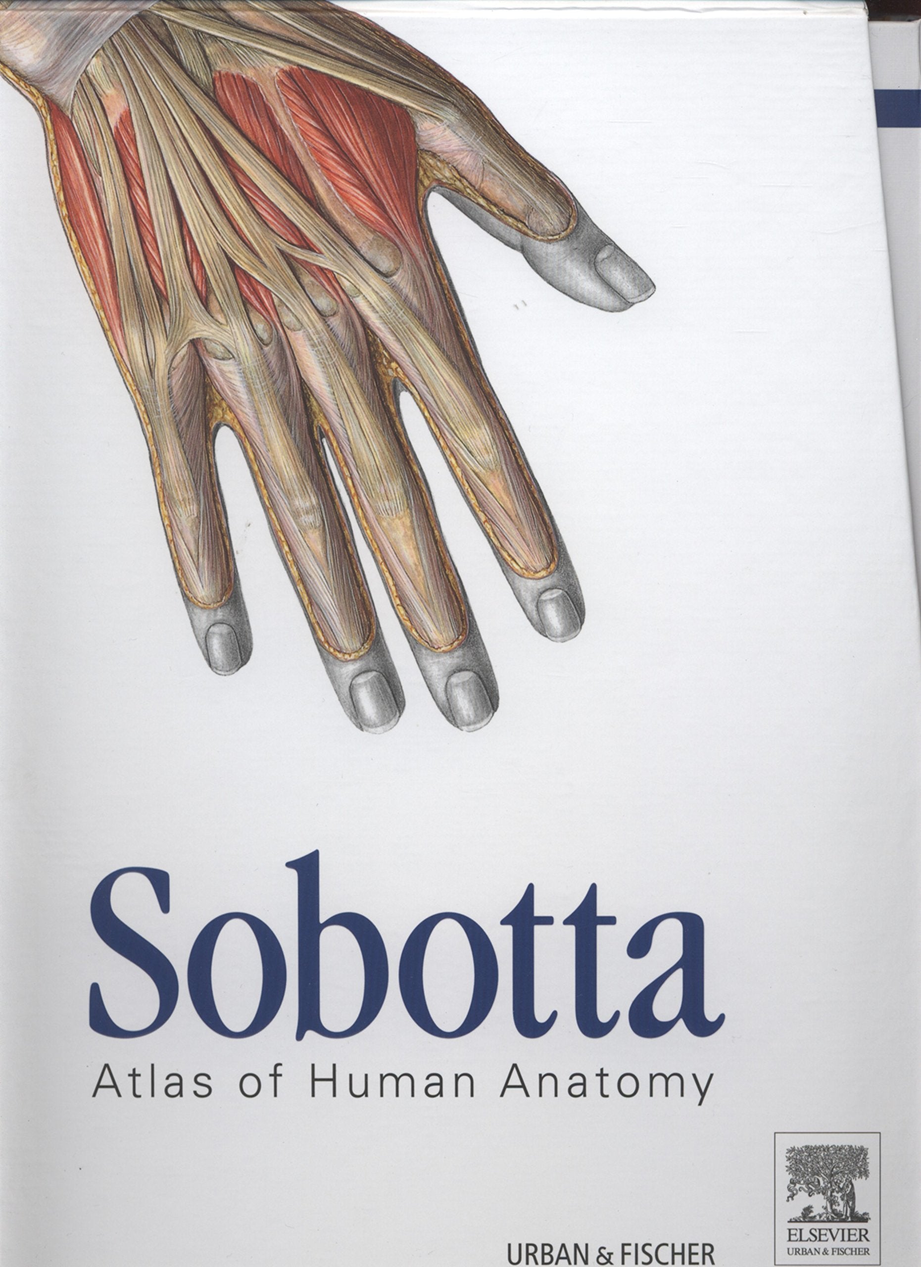 Sobotta Atlas of Human Anatomy, Package, 15th ed., English: Musculoskeletal system, internal organs, head, neck, neuroanatomy Medicine