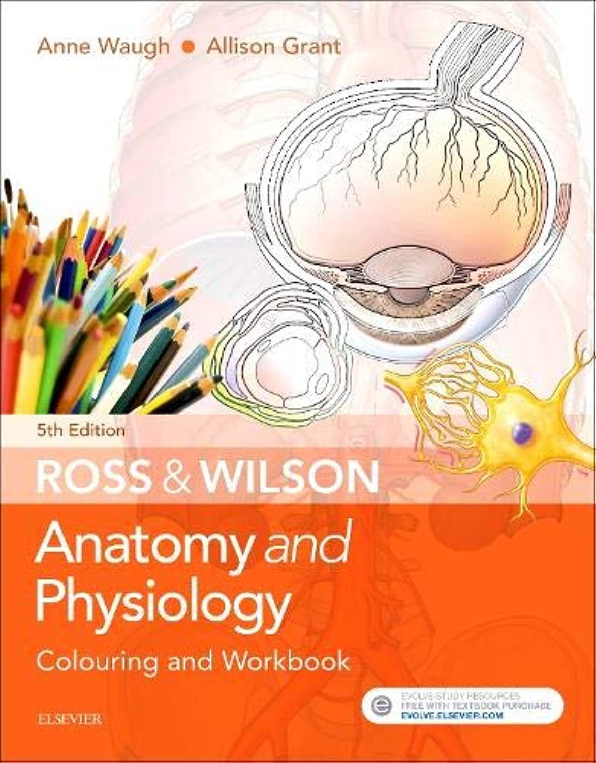 Ross & Wilson Anatomy and Physiology Colouring and Workbook Medicine