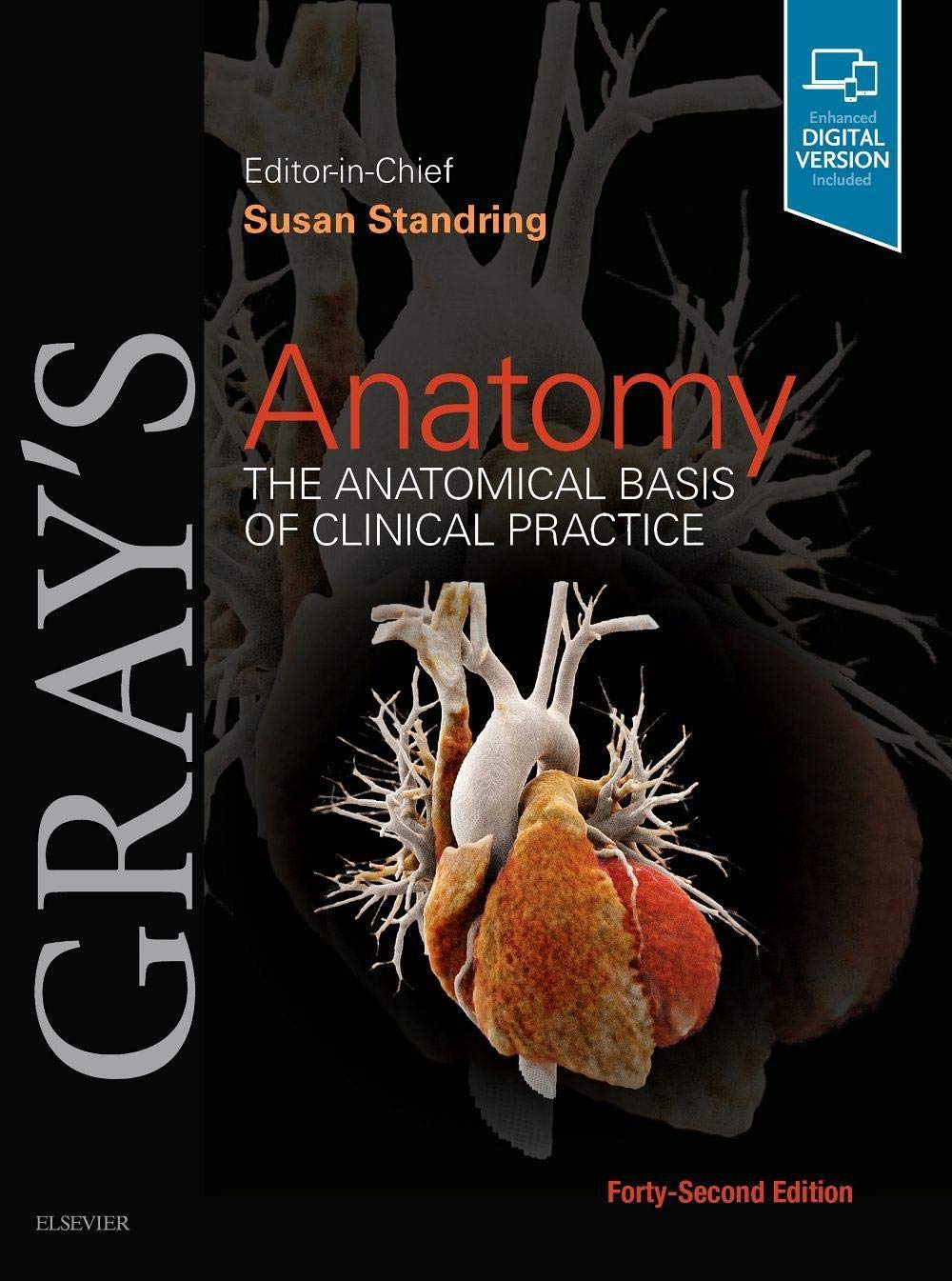 Product Image: Gray's Anatomy