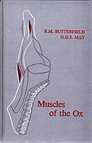 Muscles of the Ox book