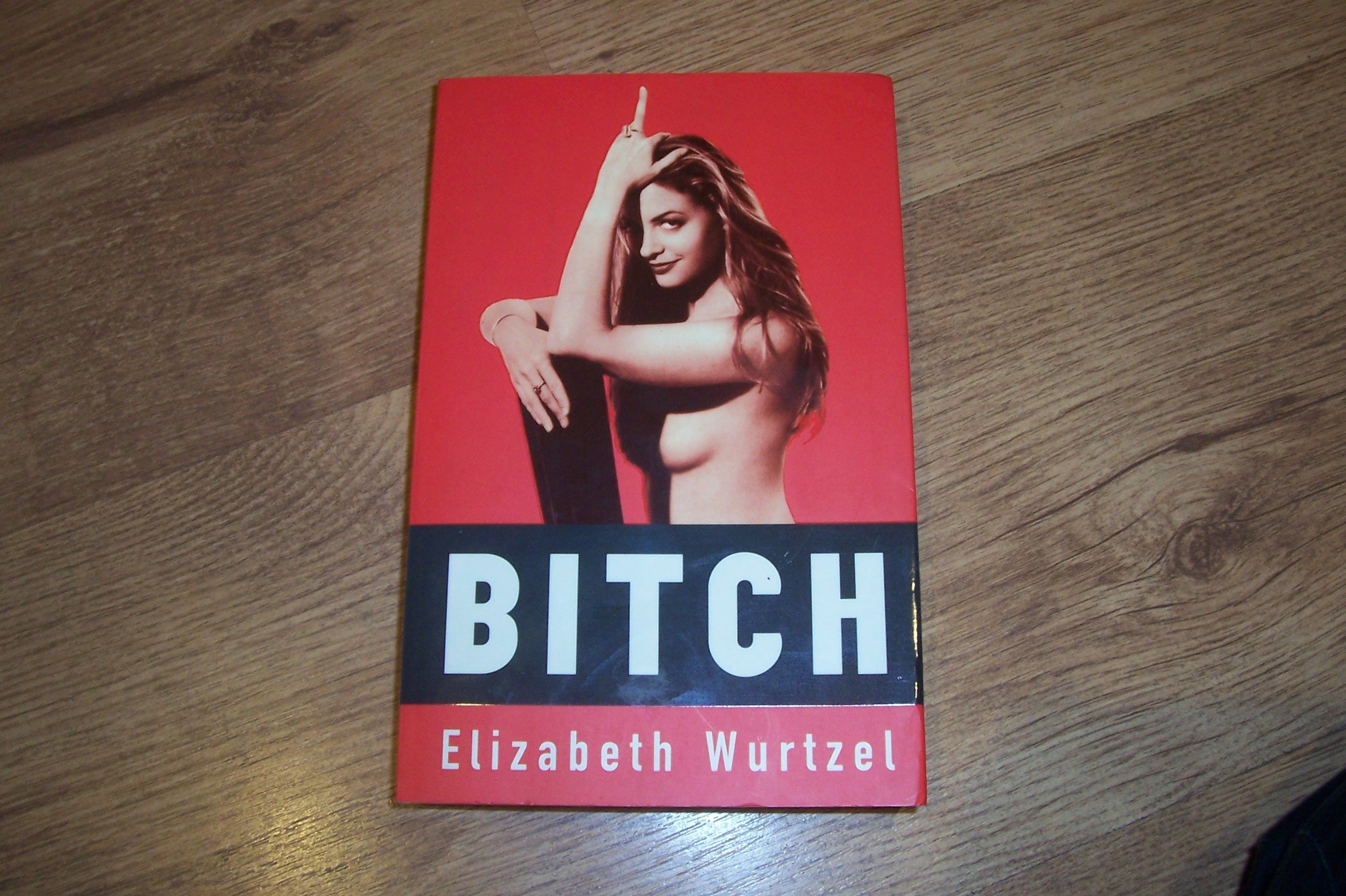 Bitch: In Praise of Difficult Women Books