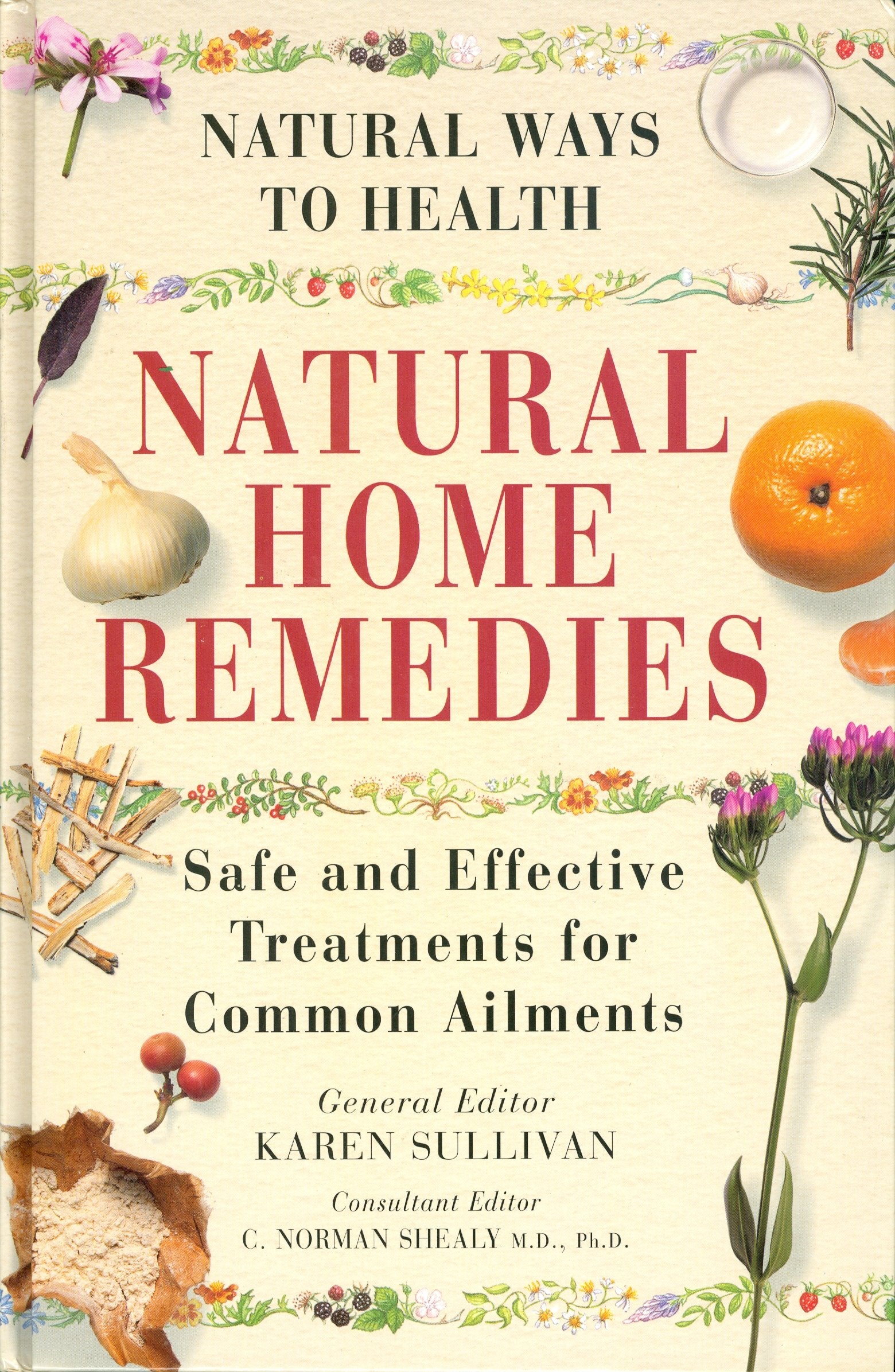 NATURAL HOME REMEDIES book