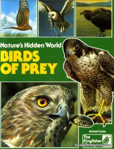 Birds of Prey (Nature's Hidden World) Books