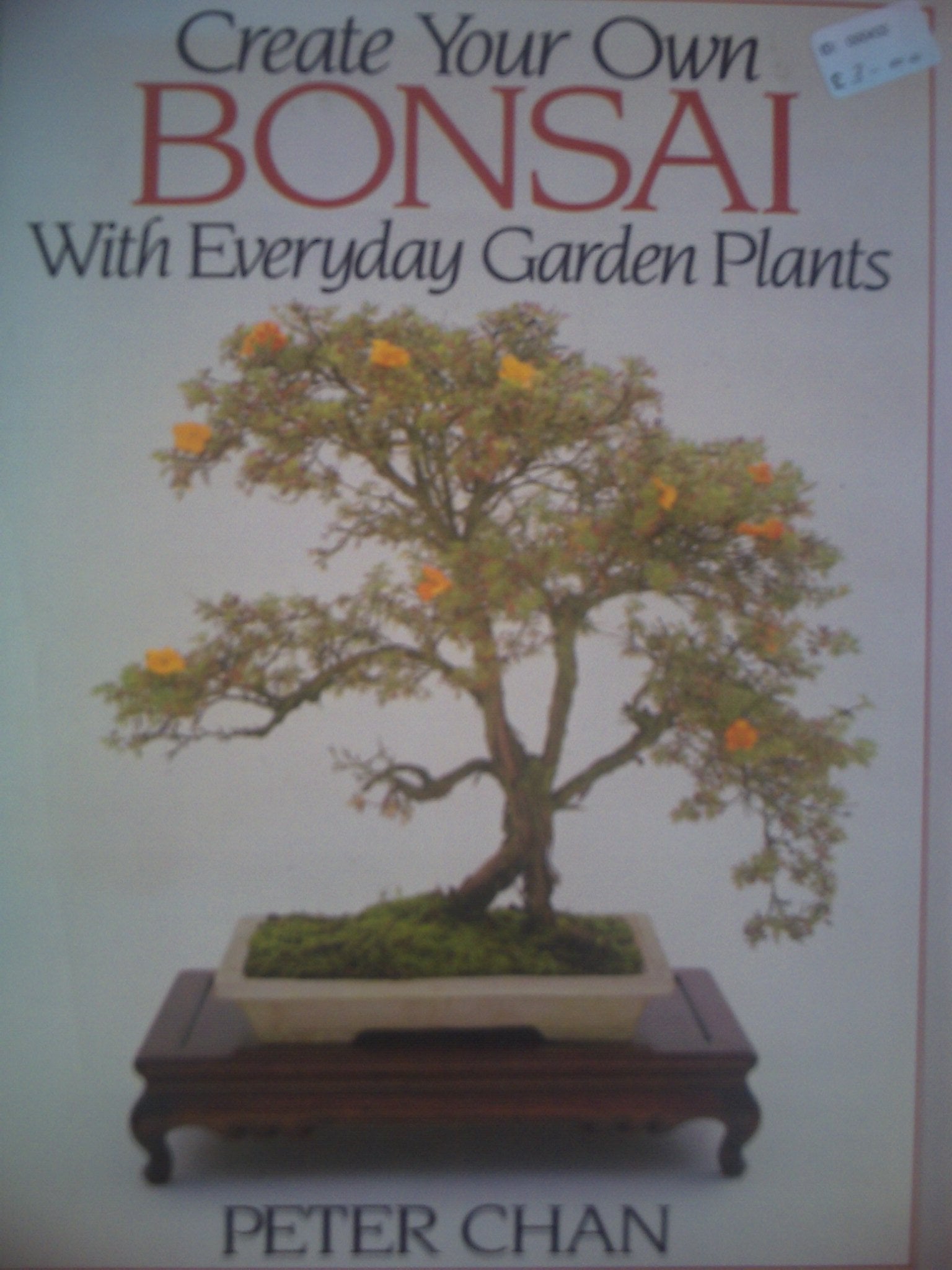 Create Your Own Bonsai with Everyday Garden Plants book