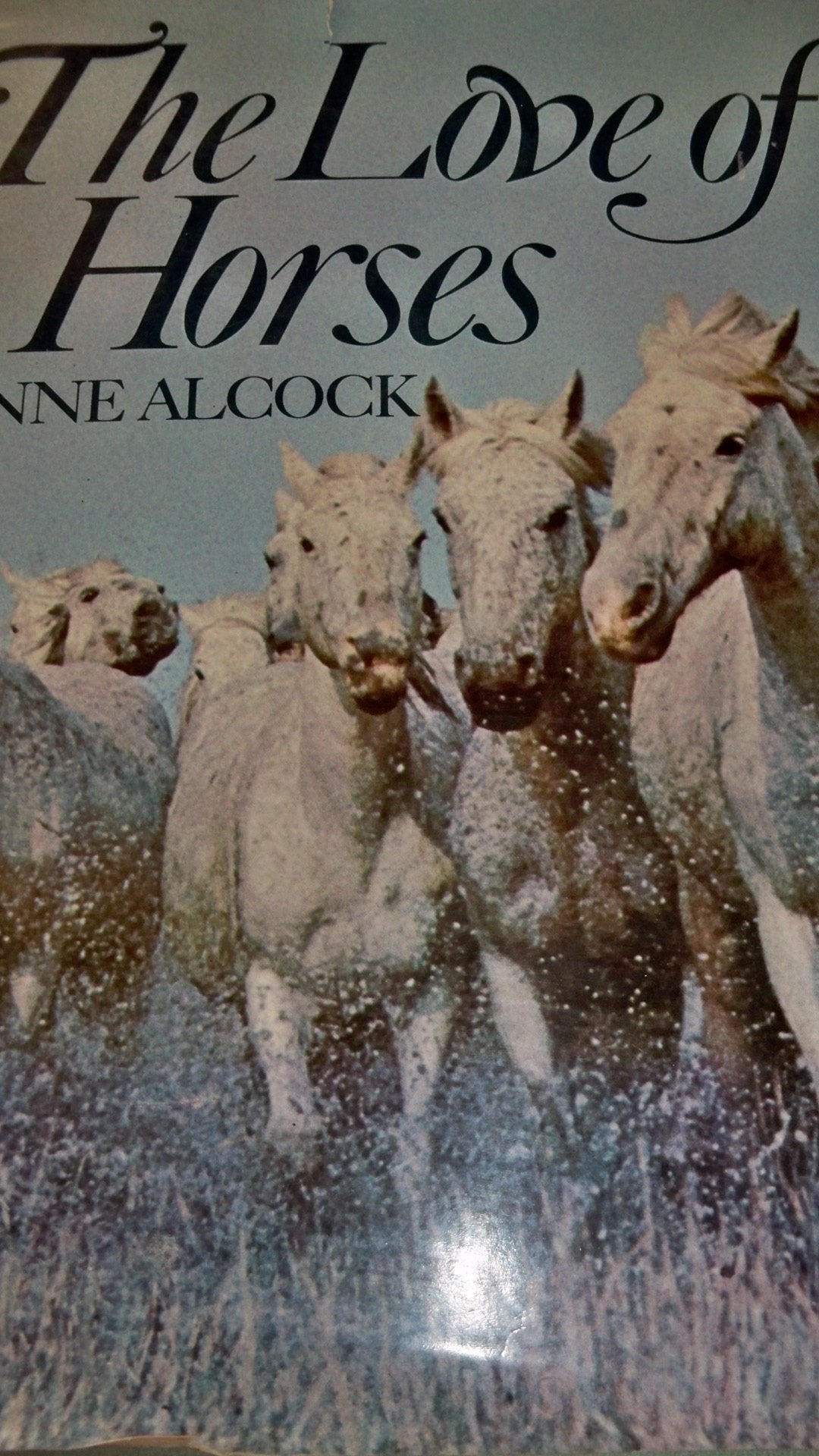 Love of Horses Books