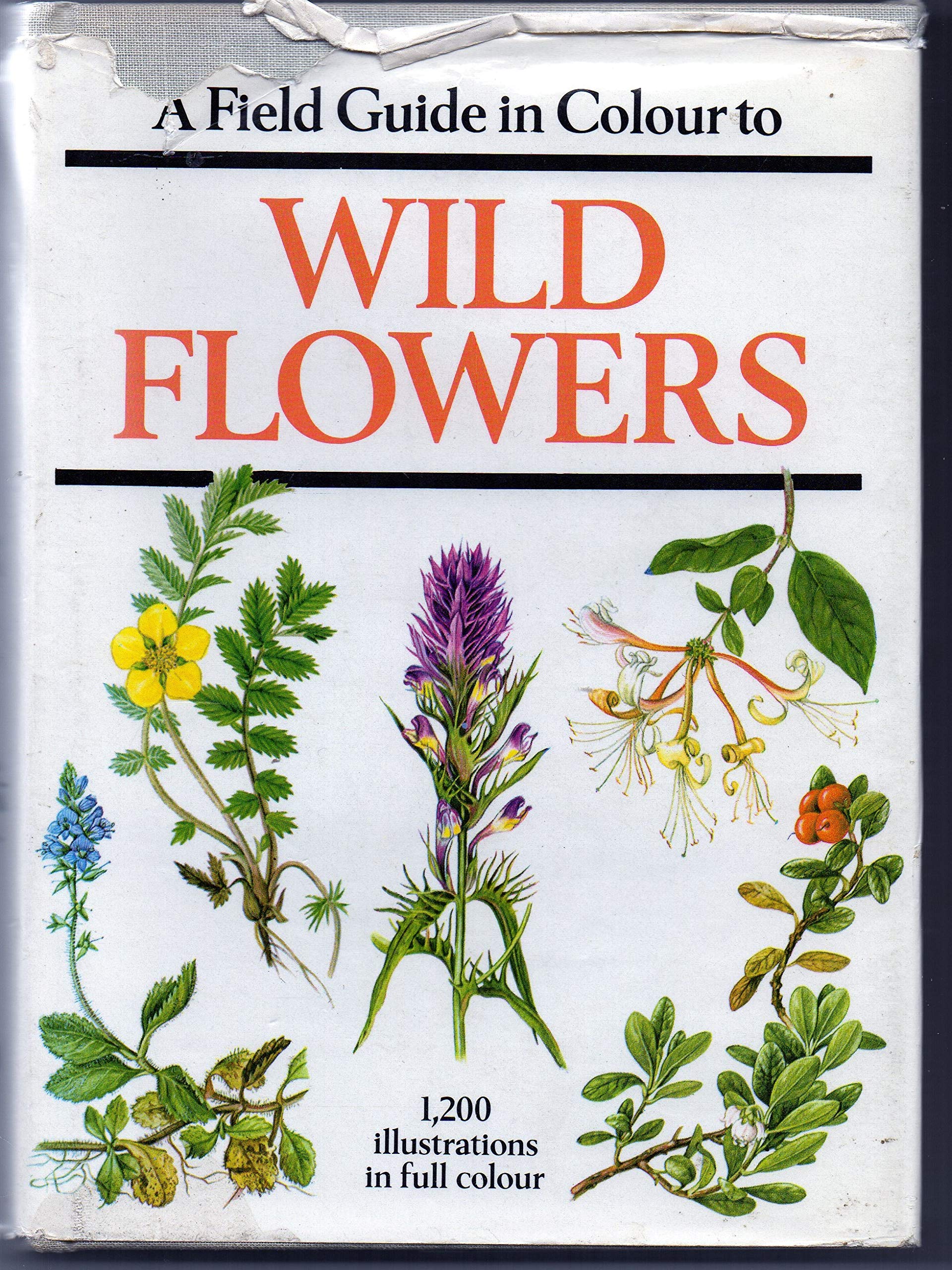 Field Guide in Colour to Wild Flowers Books