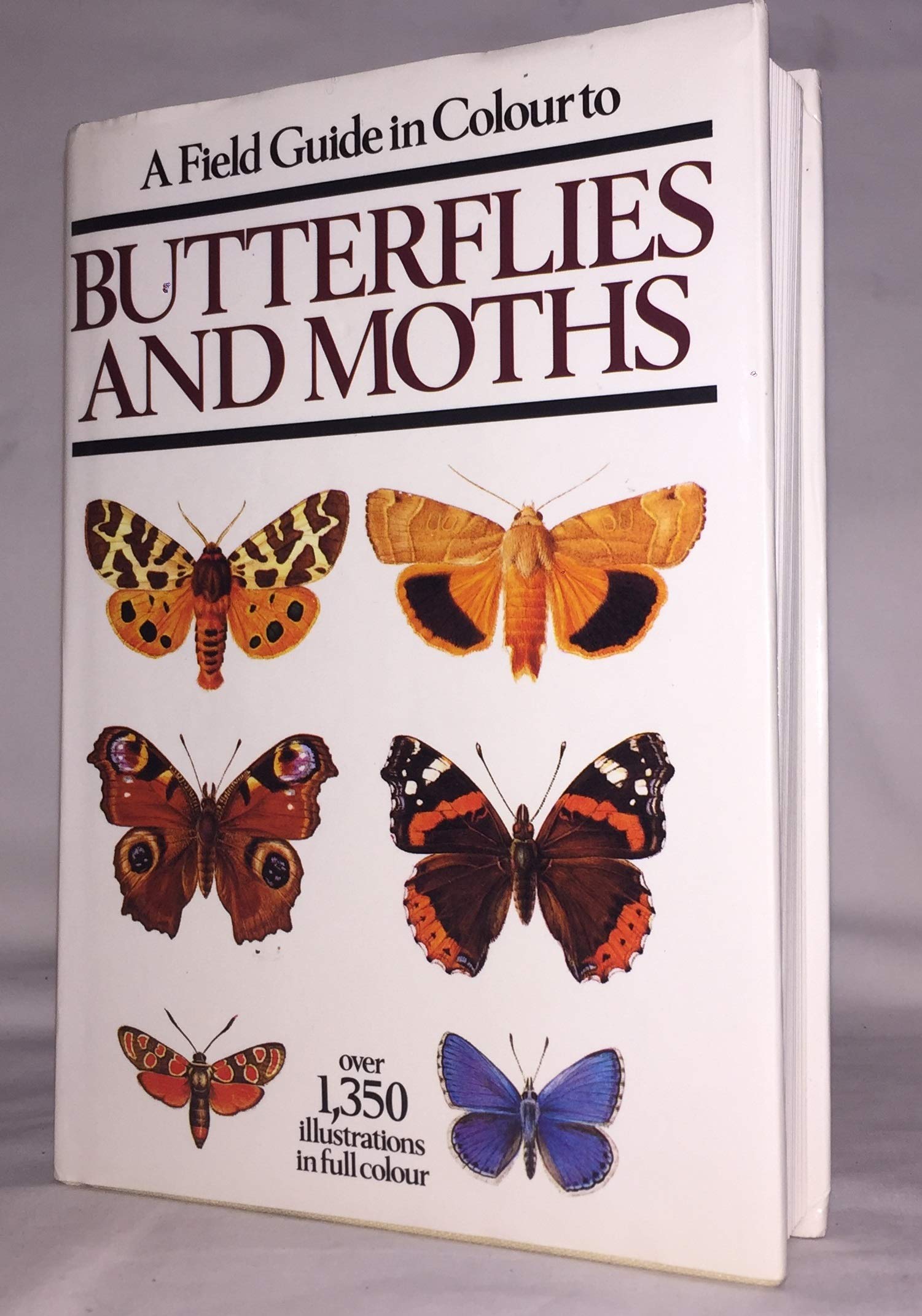 Field Guide in Colour to Butterflies and Moths Natural Sciences