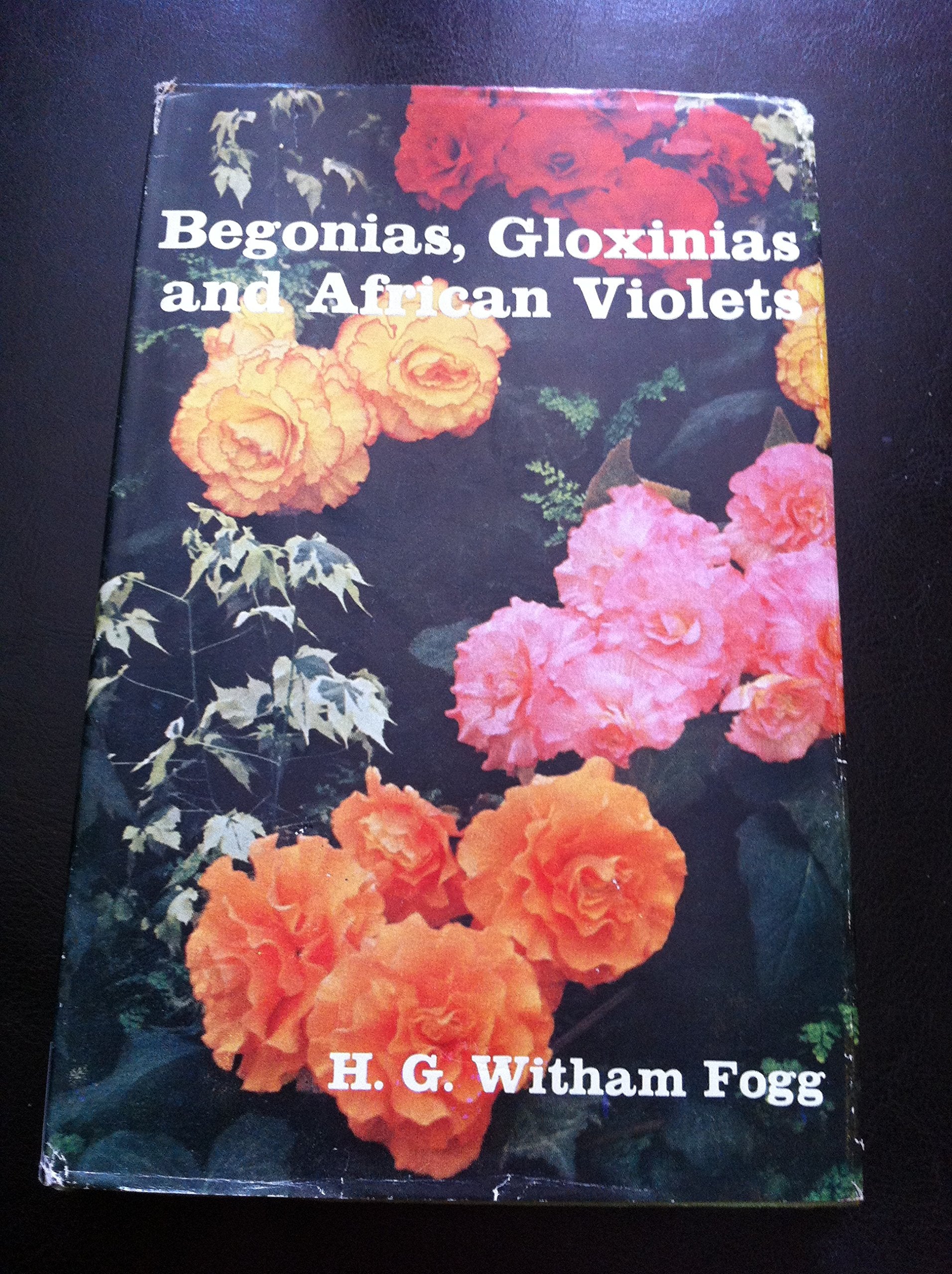Begonias, Gloxinias and African Violets Books