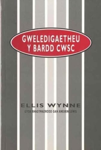 Gweledigaethau y Bardd Cwsg Contemporary literature