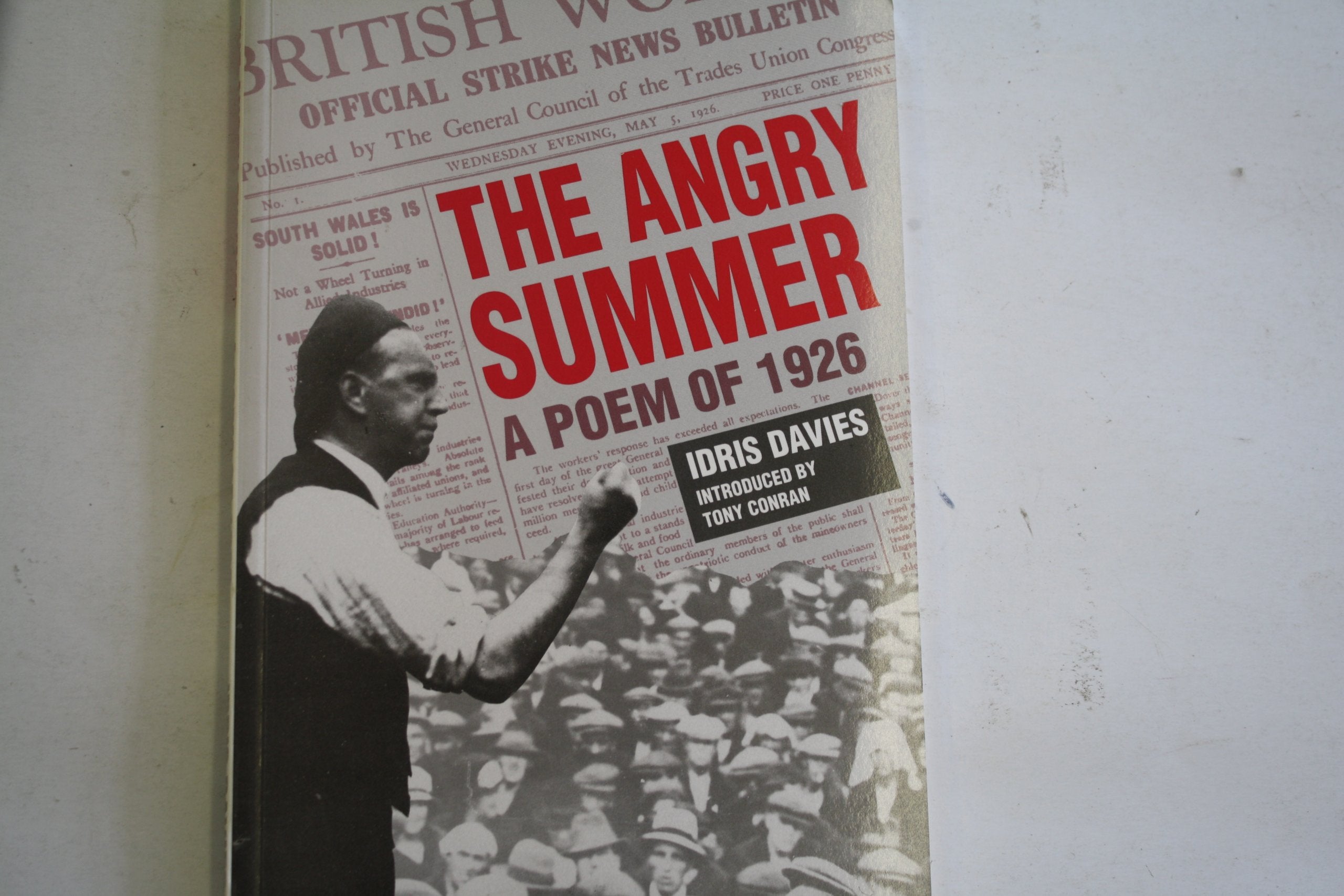 The Angry Summer Social Sciences Books