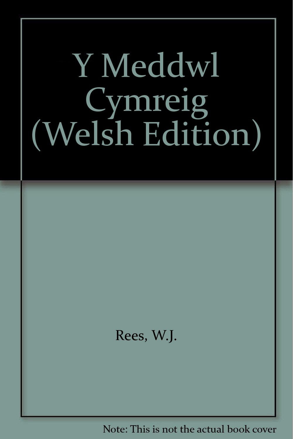 Product Image: Y Meddwl Cymreig