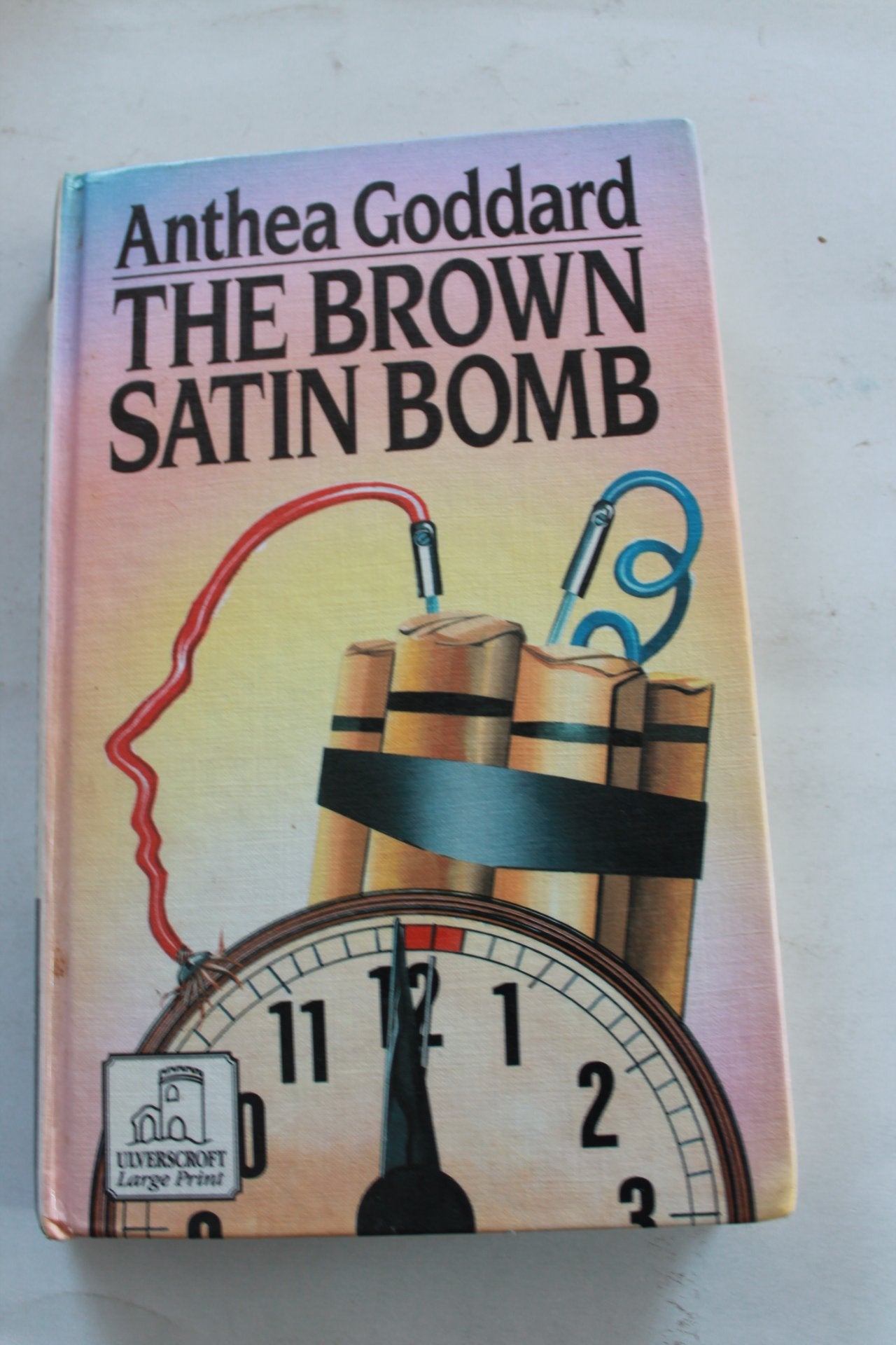 The Brown Satin Bomb (Ulverscroft Large Print) Contemporary literature