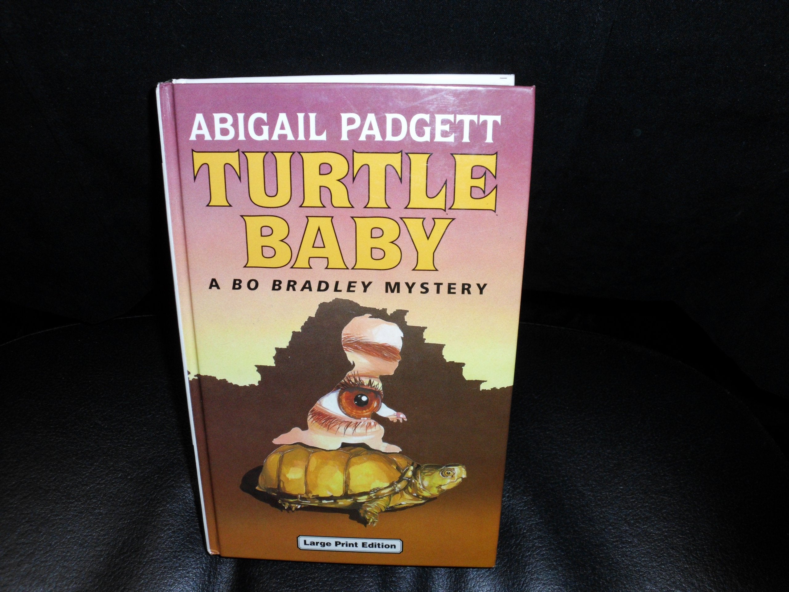 Turtle Baby (A Bo Bradley mystery) Contemporary literature