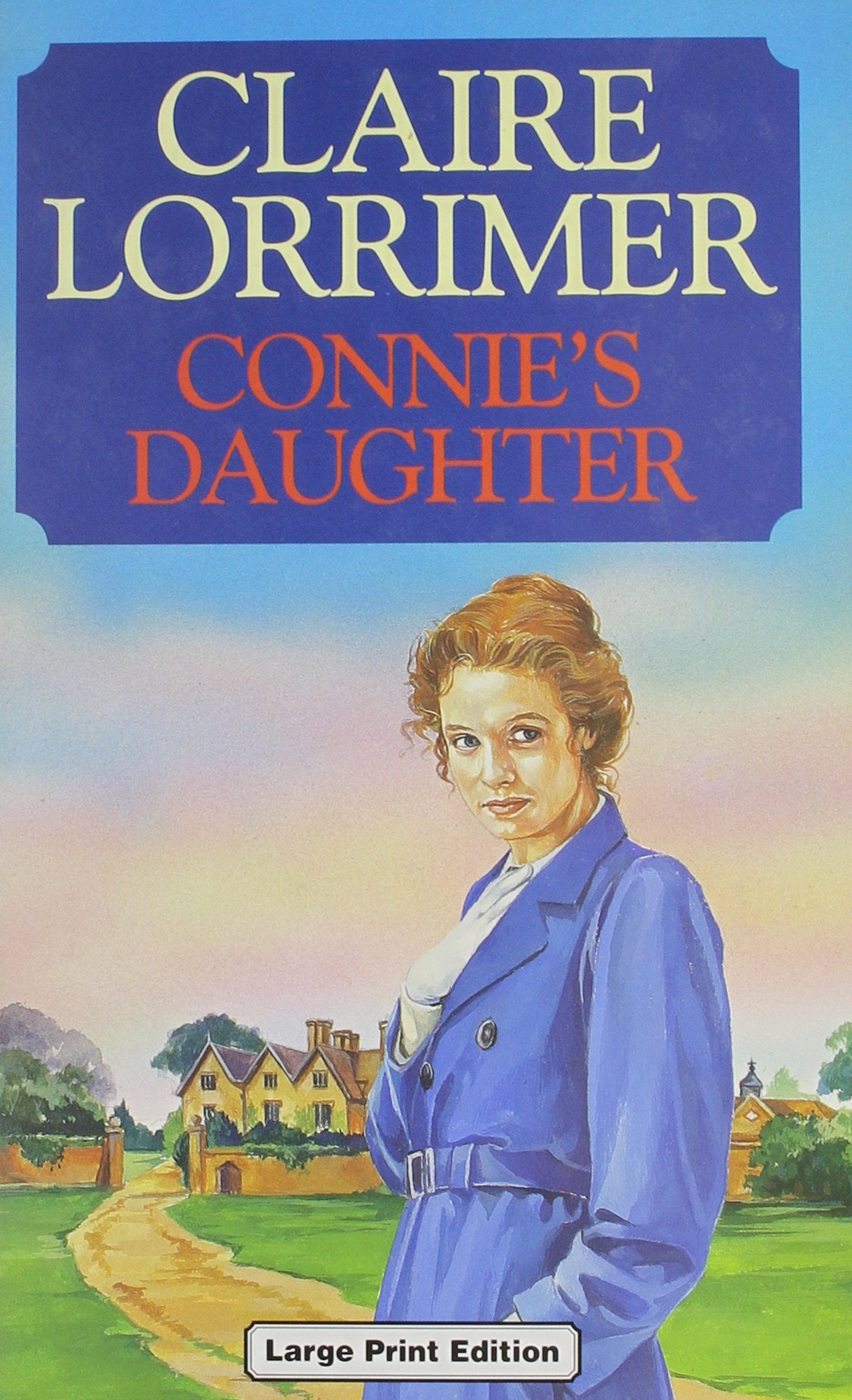 Connie's Daughter (Ulverscroft Large Print Series) Contemporary literature