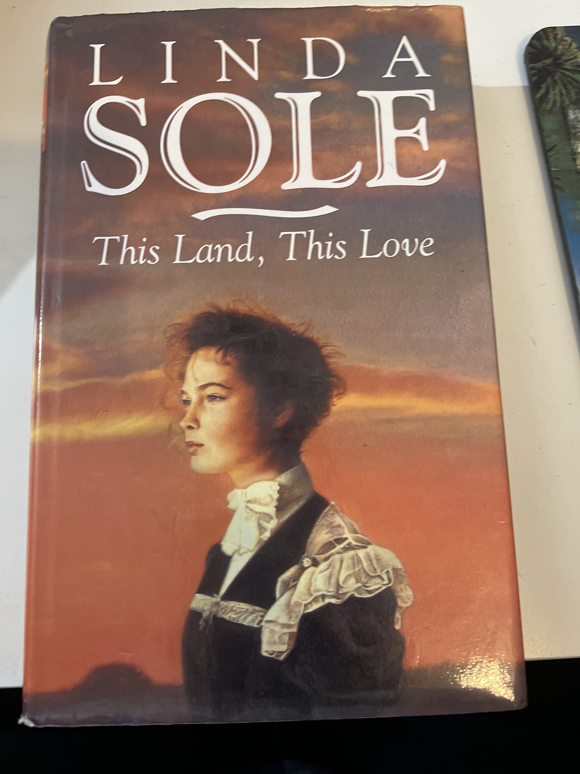 This Land, This Love (Ulverscroft Large Print Series) Contemporary literature