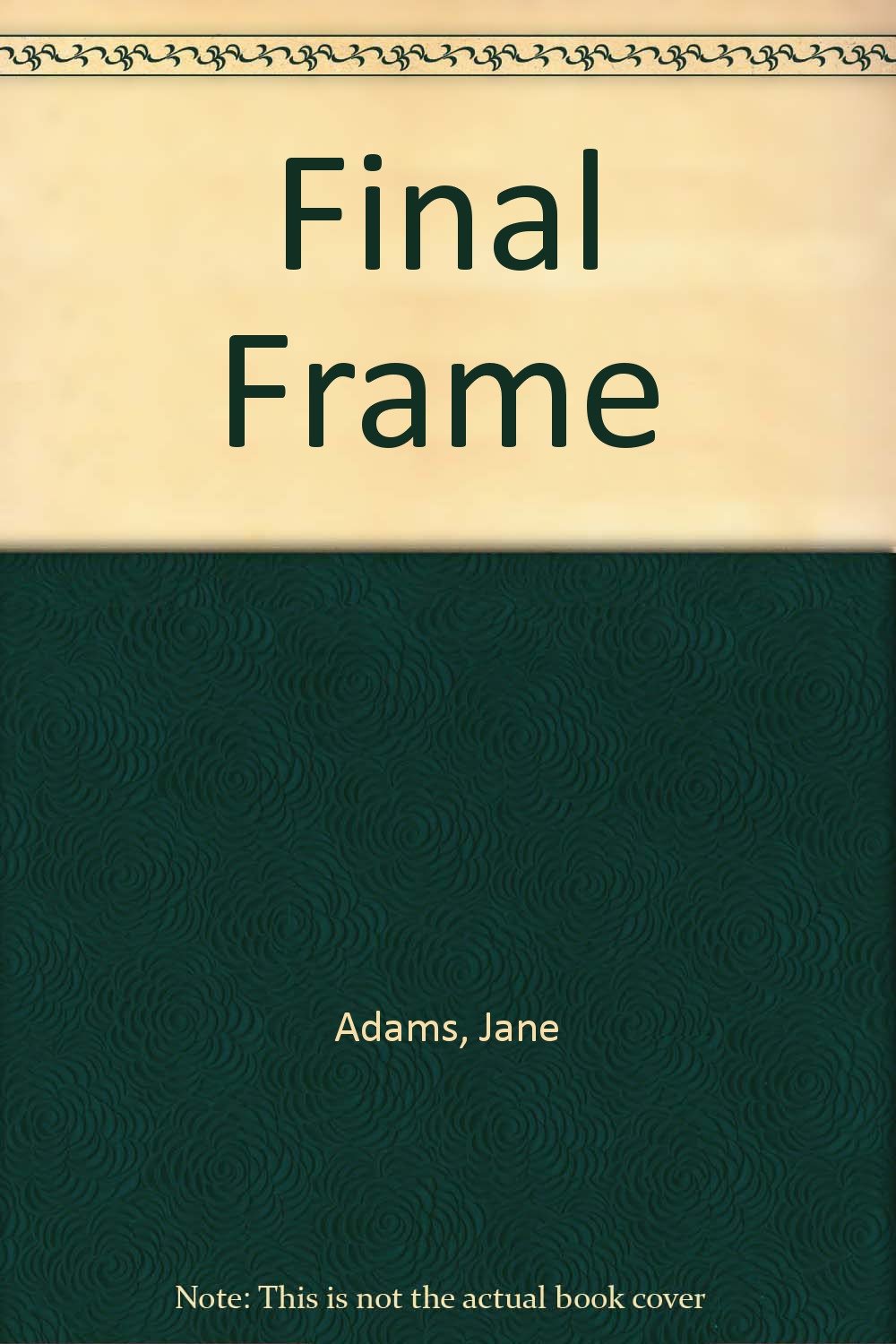 Final Frame Contemporary literature
